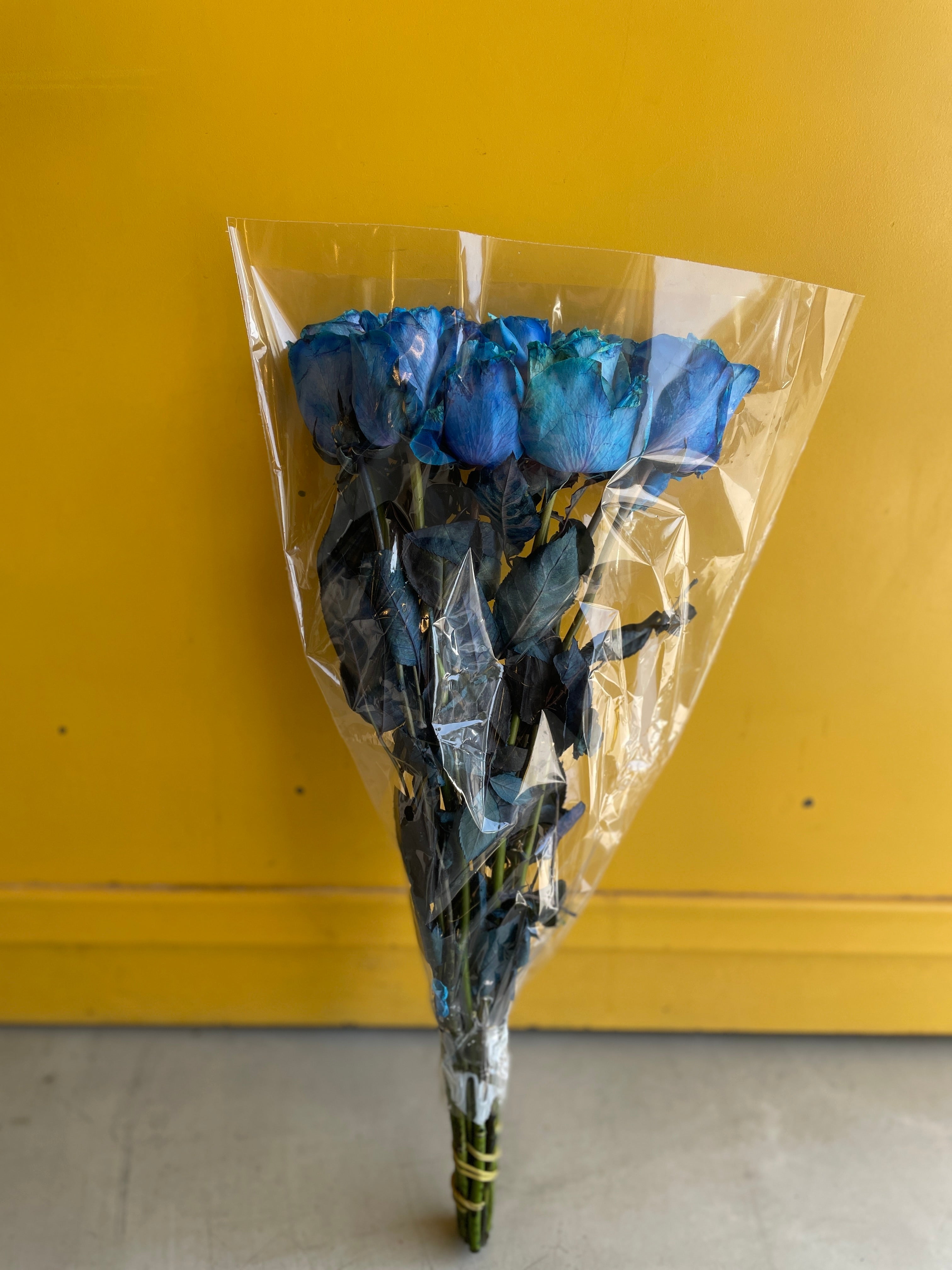 Rose Snowstorm Blue روز