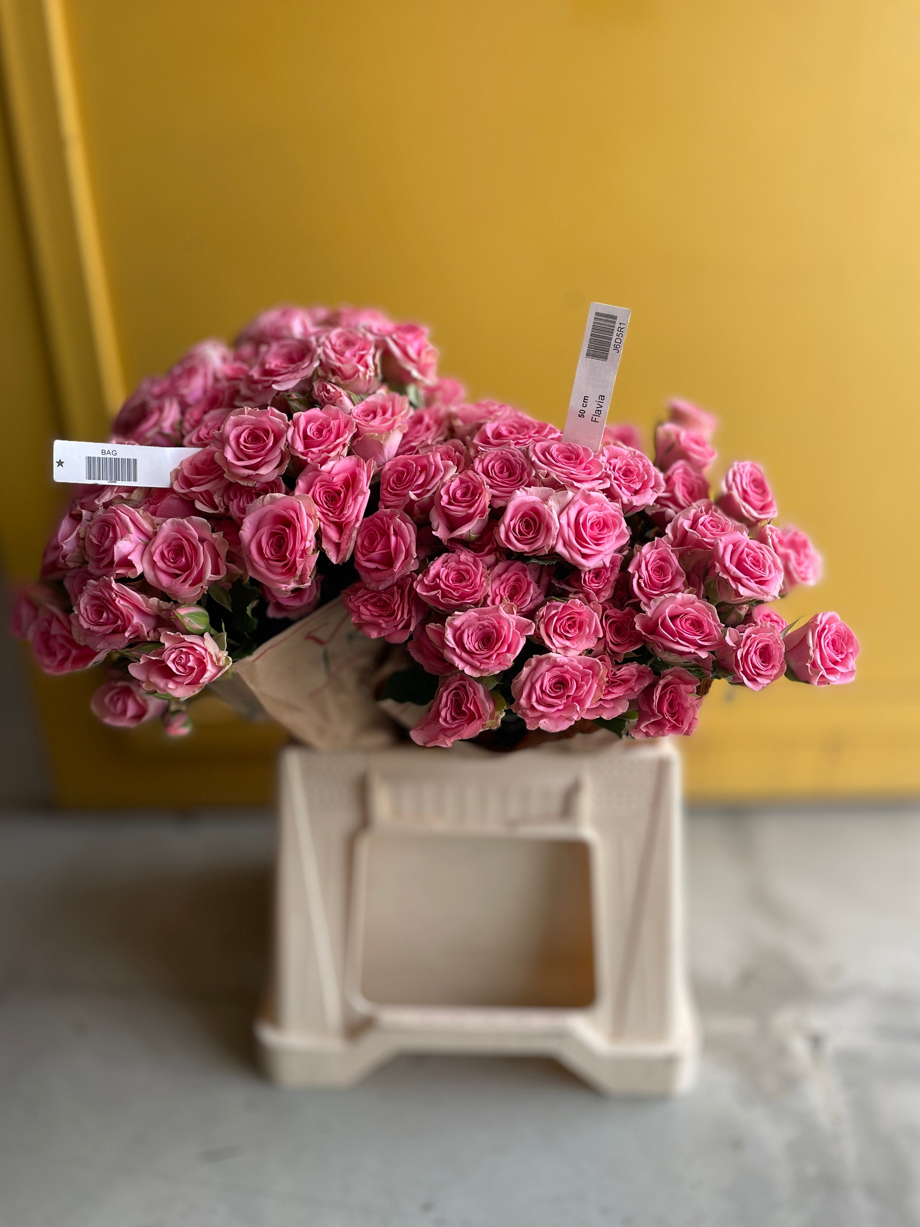 Spray Rose Flavia سبري روز