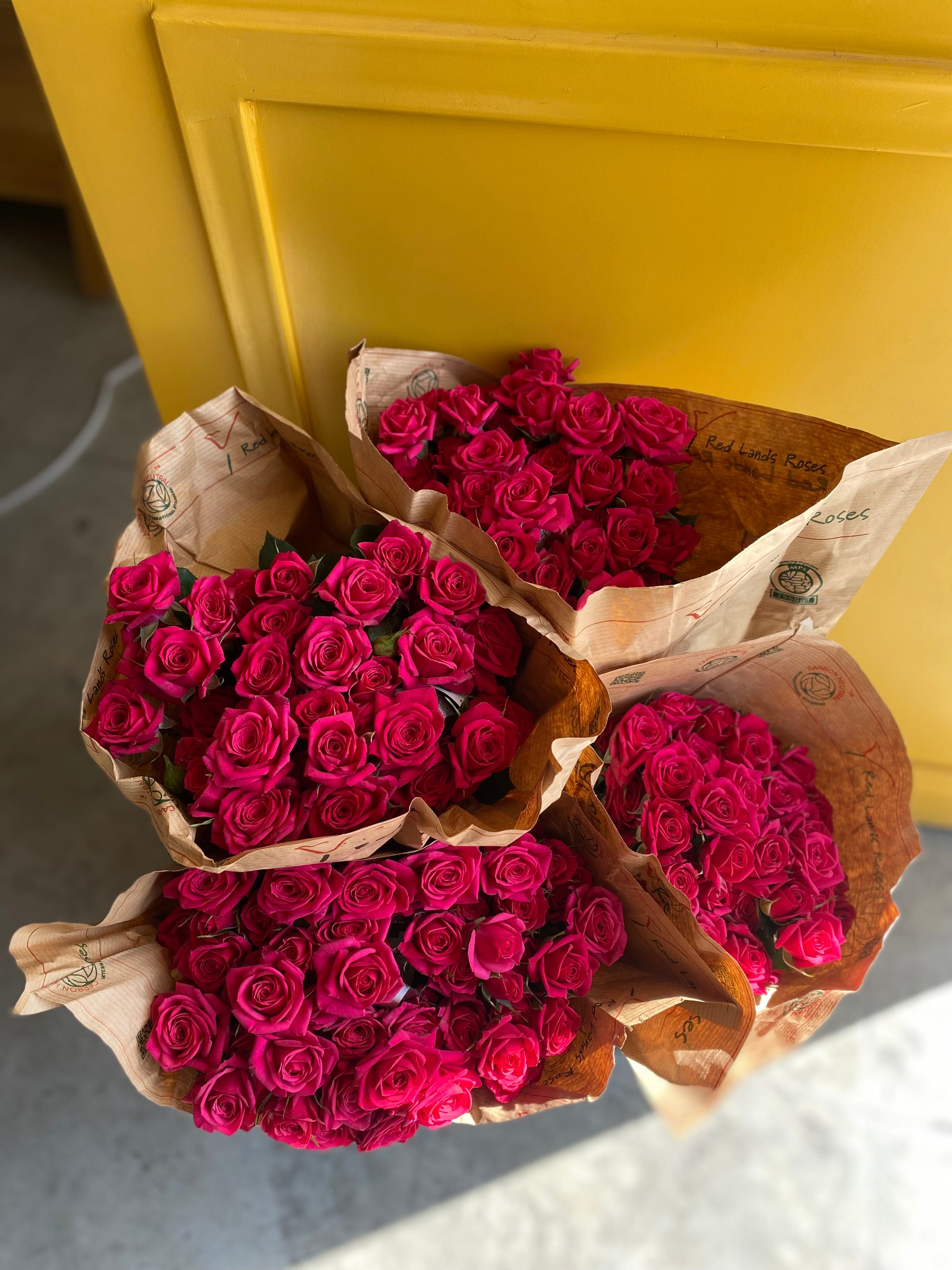 Spray Rose Quincy سبري روز