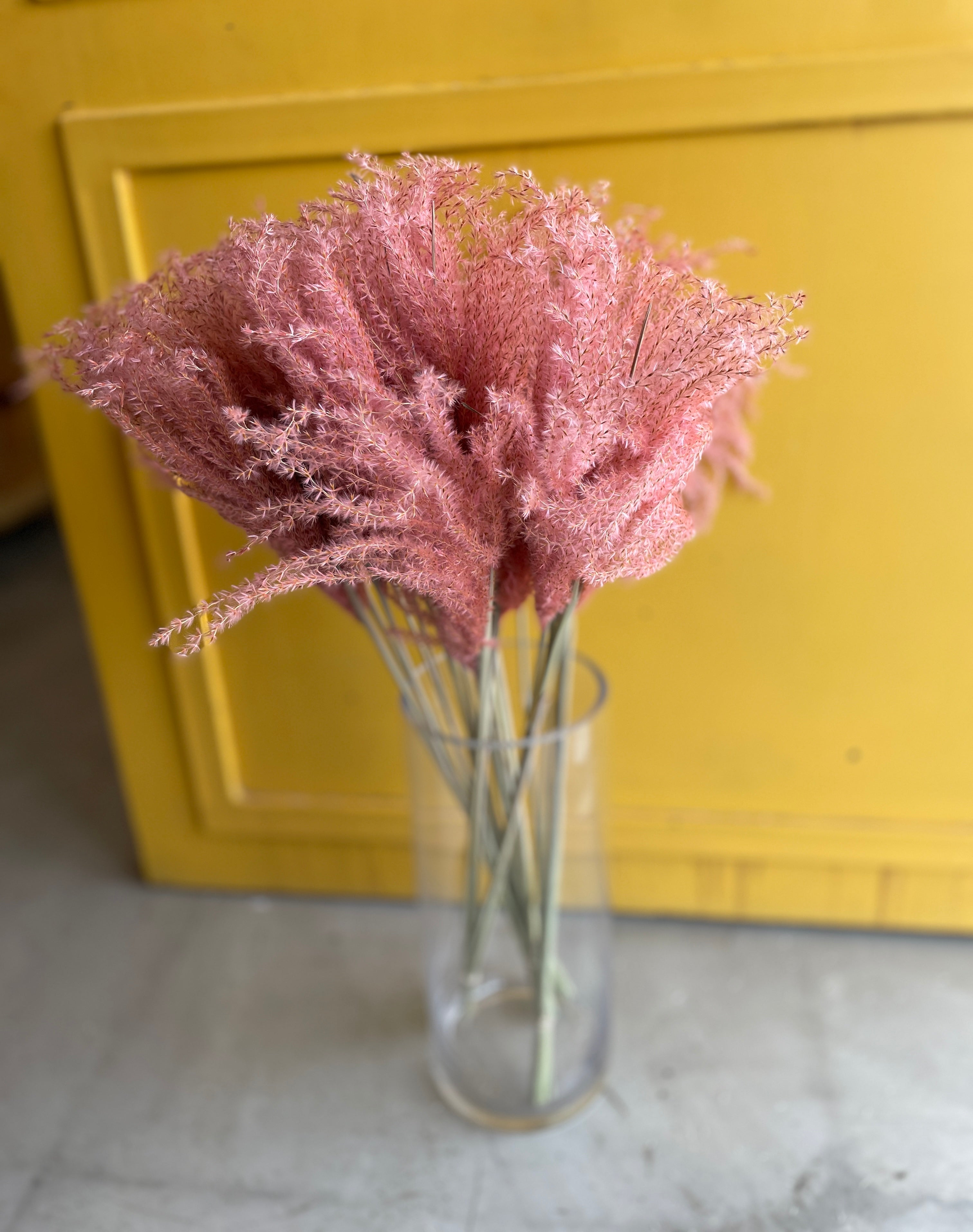 Stipa Feather Pink Dryer