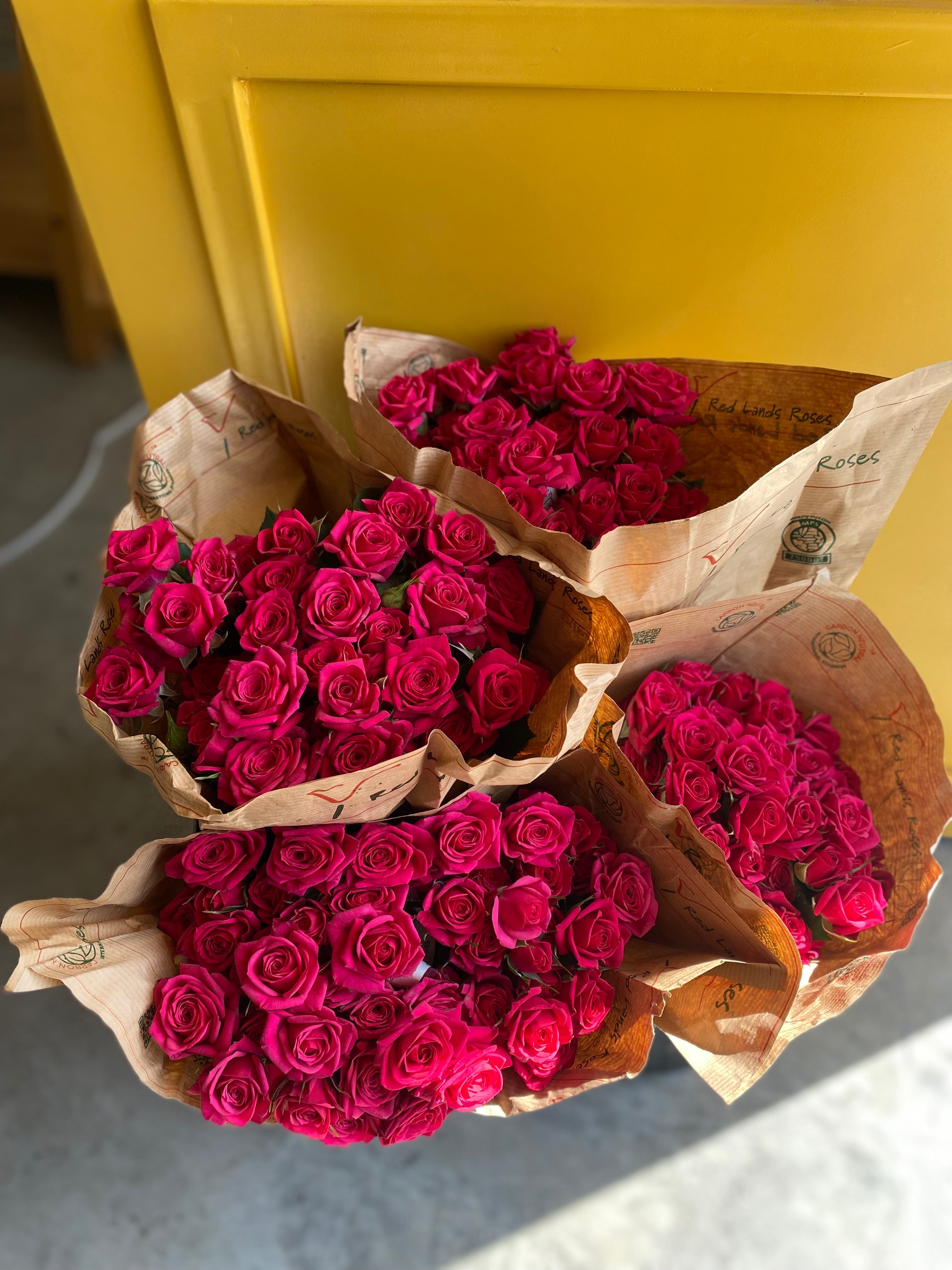 Spray Rose Quincy سبري روز