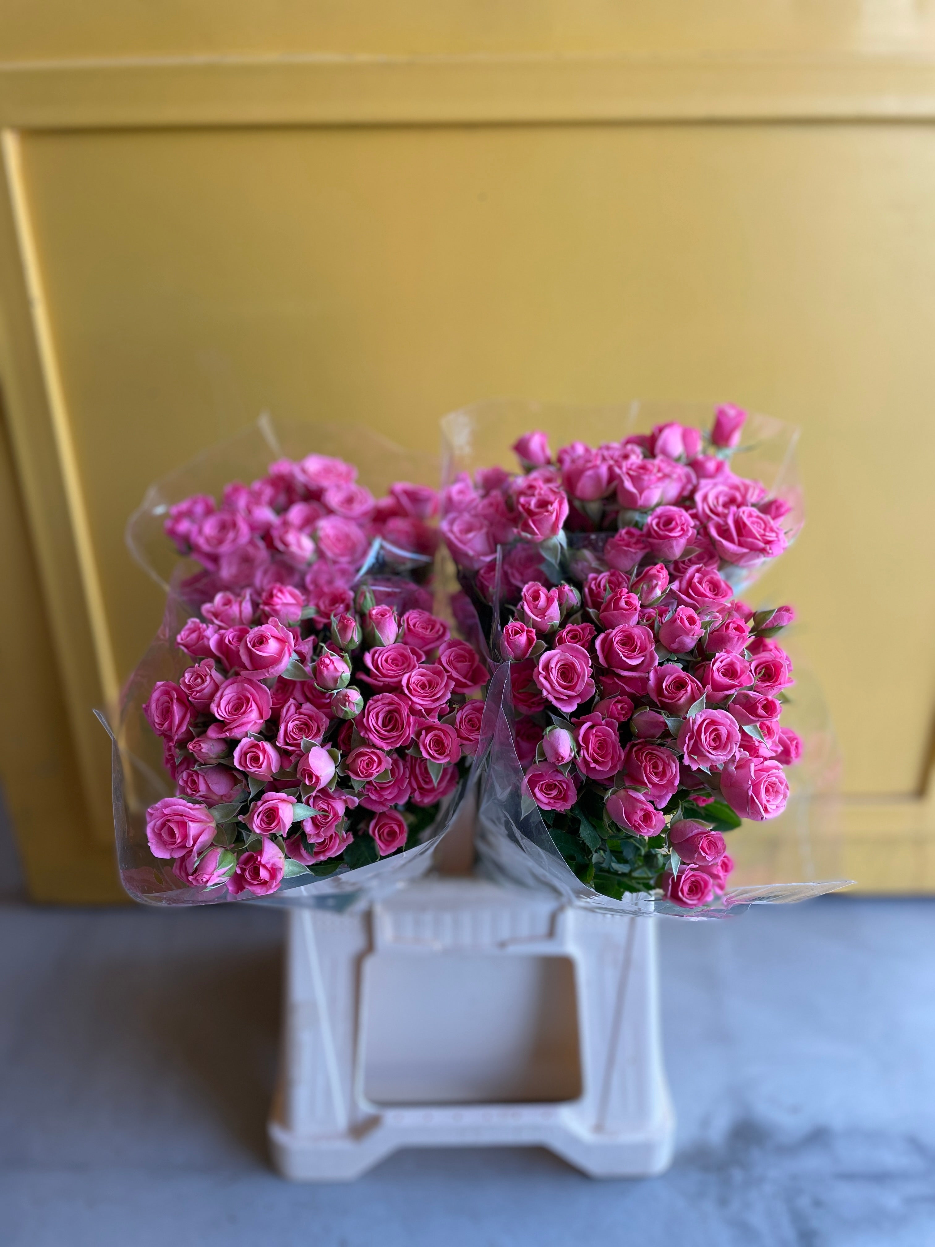 Spray Rose Nethalie سبري روز
