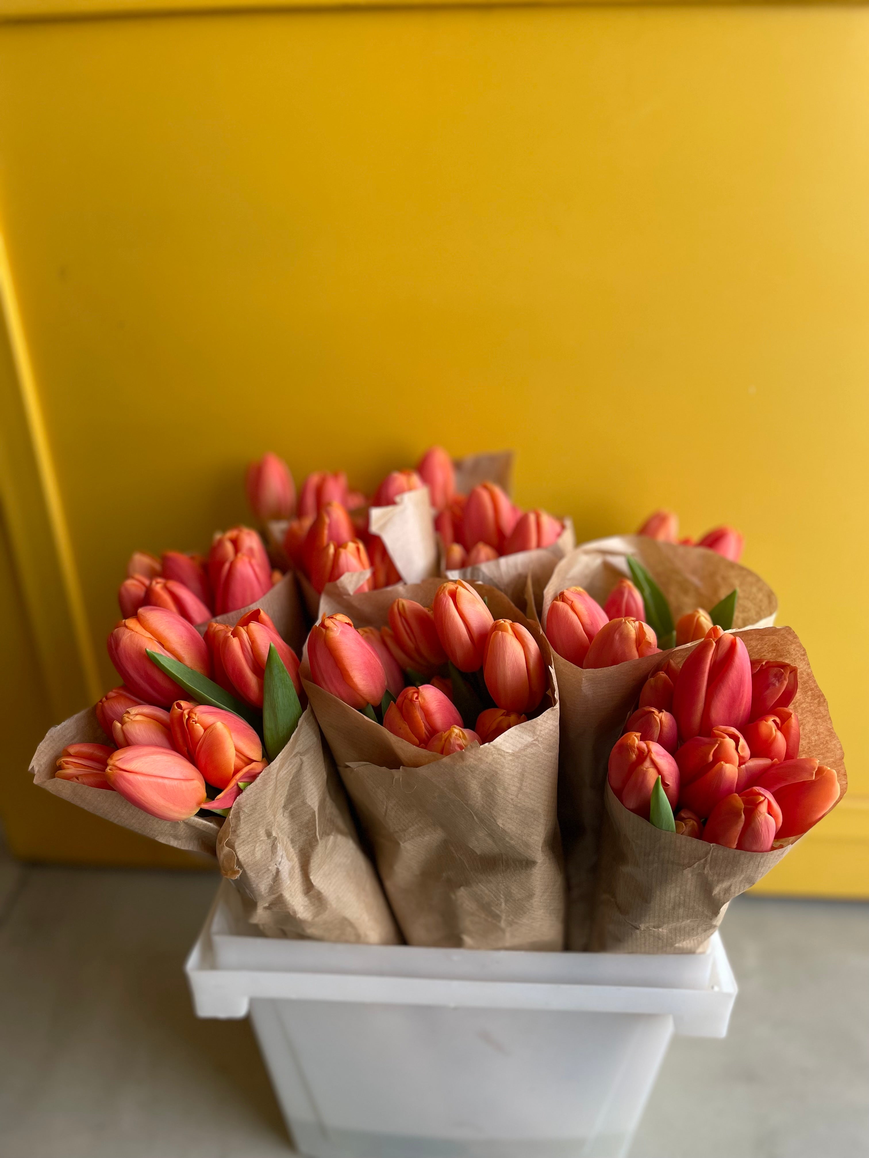 Tulip Orange Juice توليب