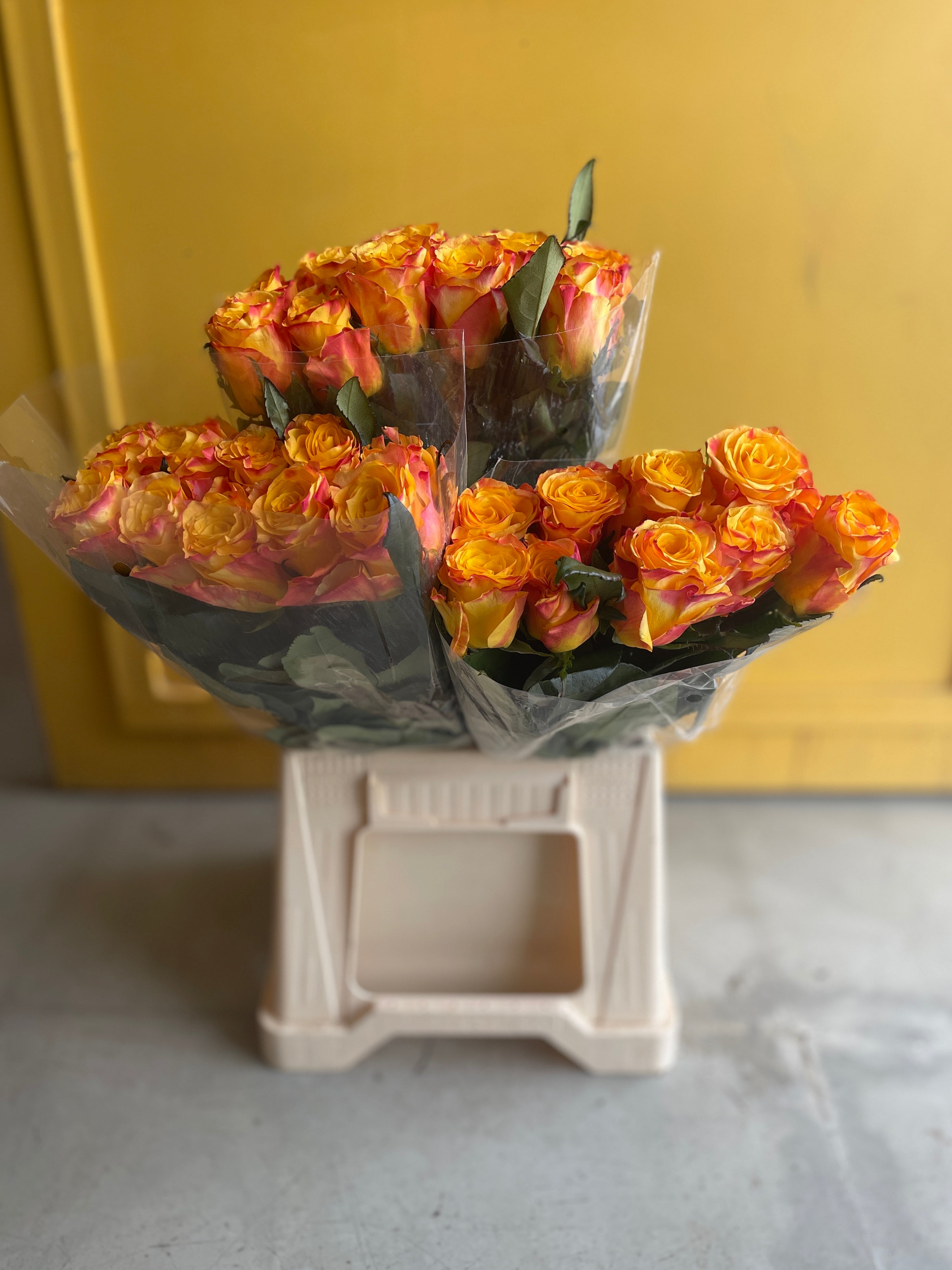 Rose Easy Fashion روز