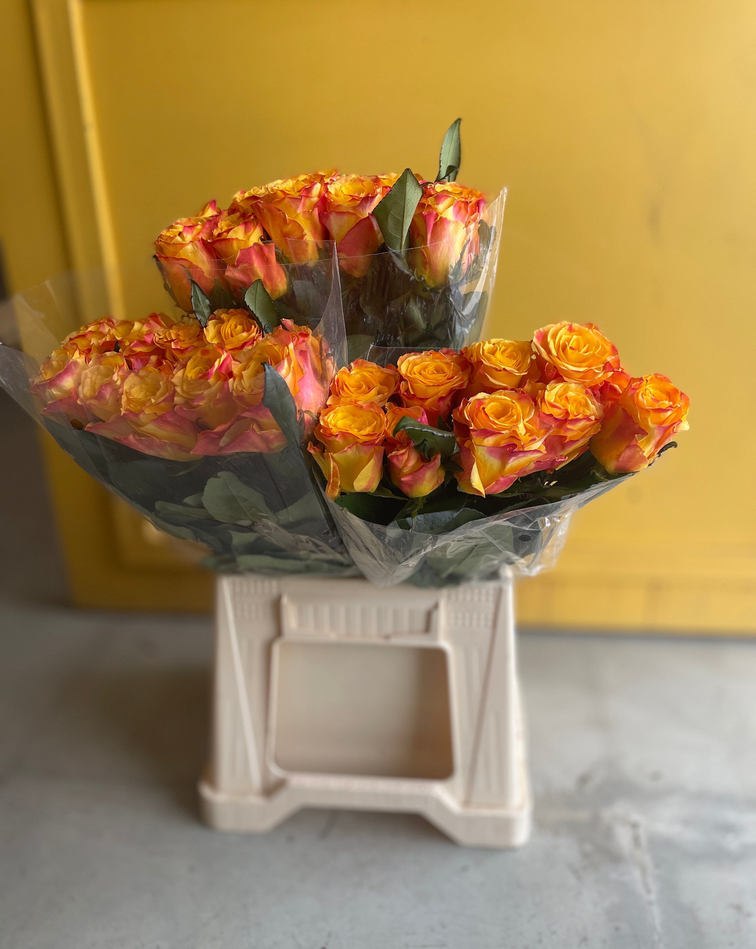 Rose Easy Fashion روز