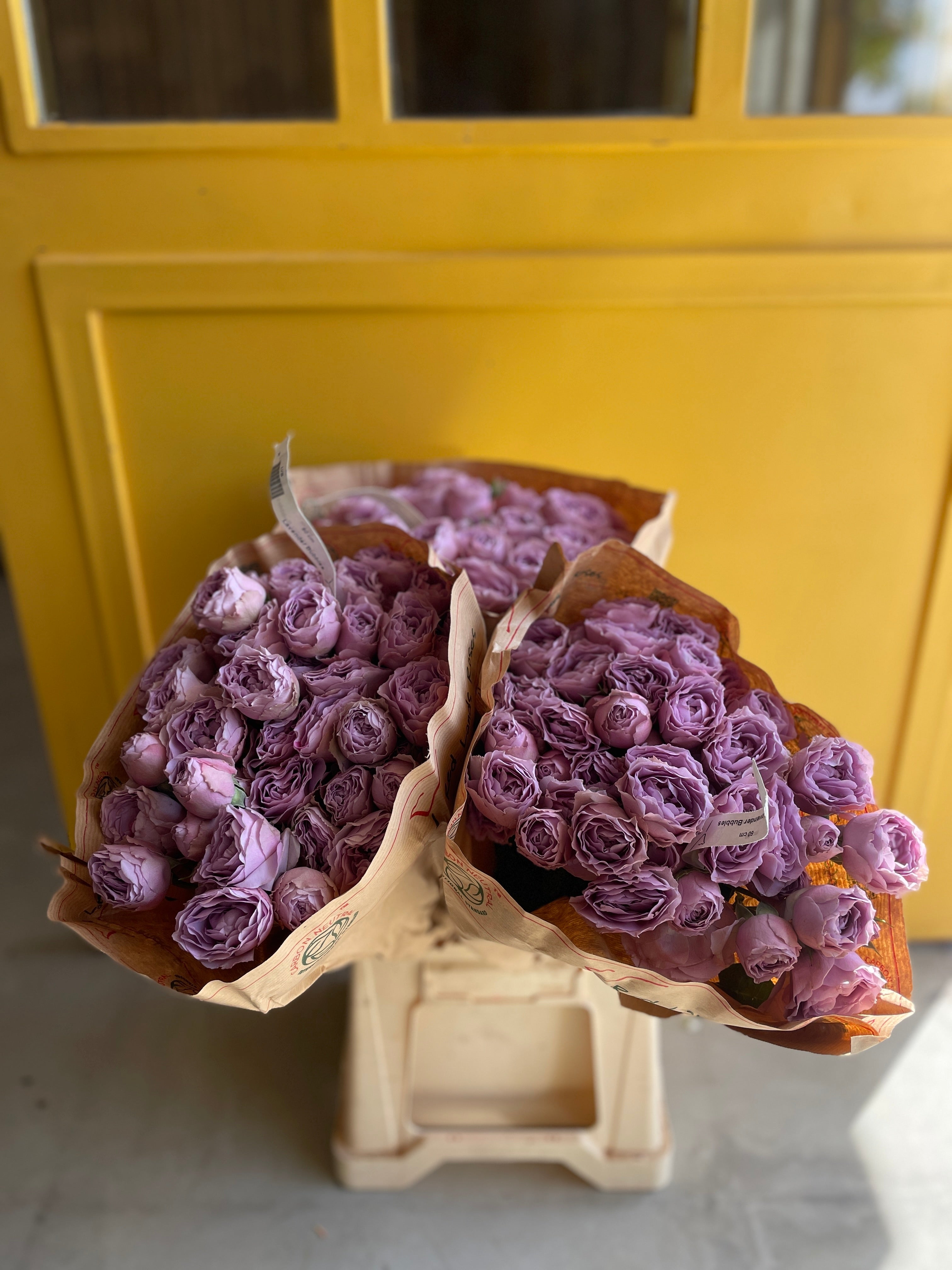 Garden Spray Rose Lavender Bubbles