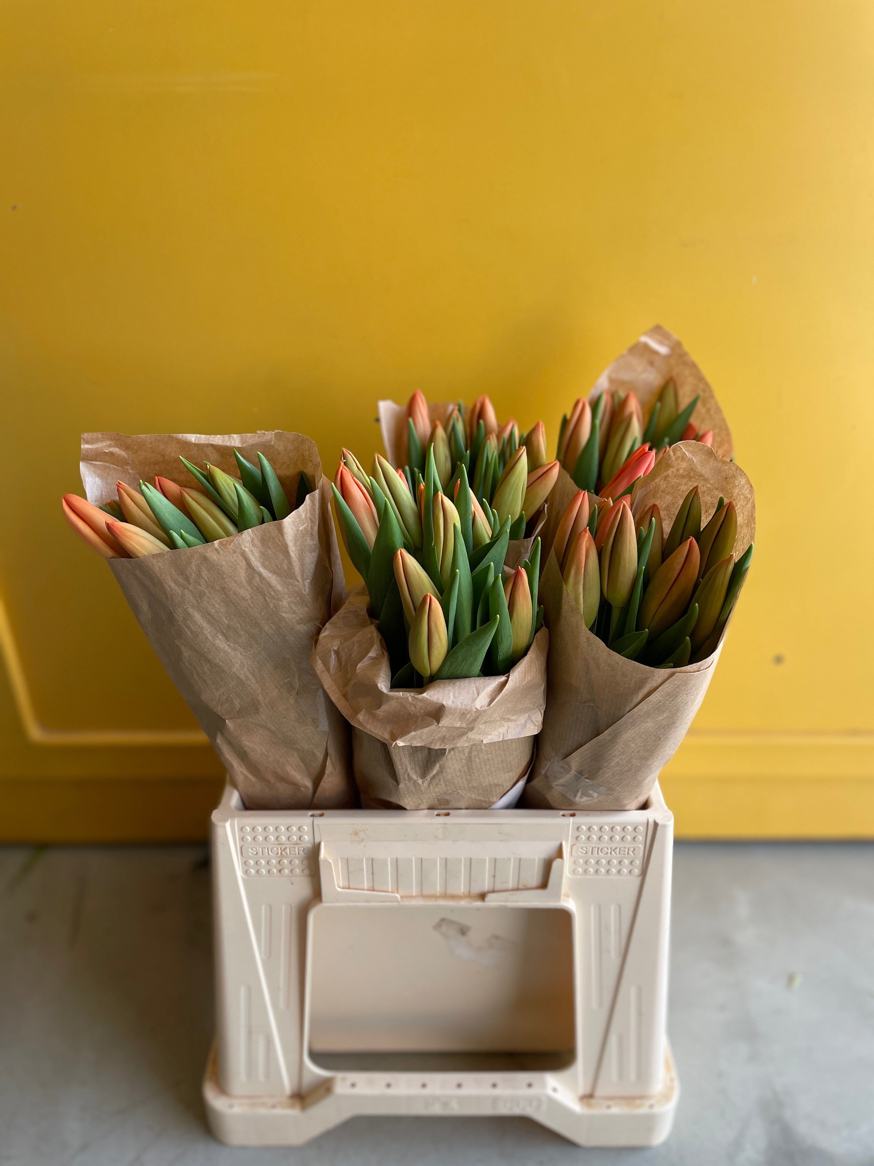 Tulip ORANGE JUICE
