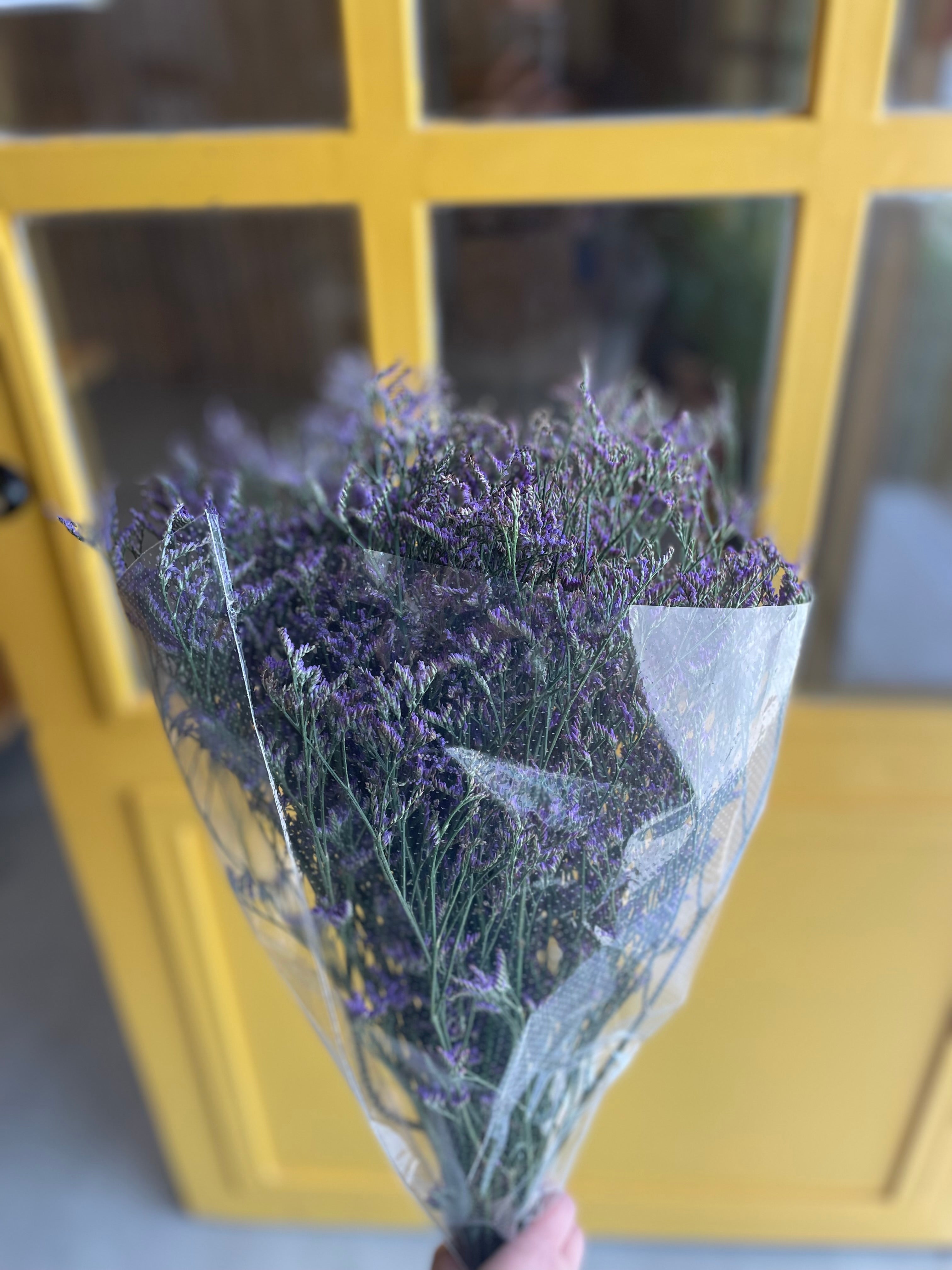 Limonium Safora Purple ليمونيوم