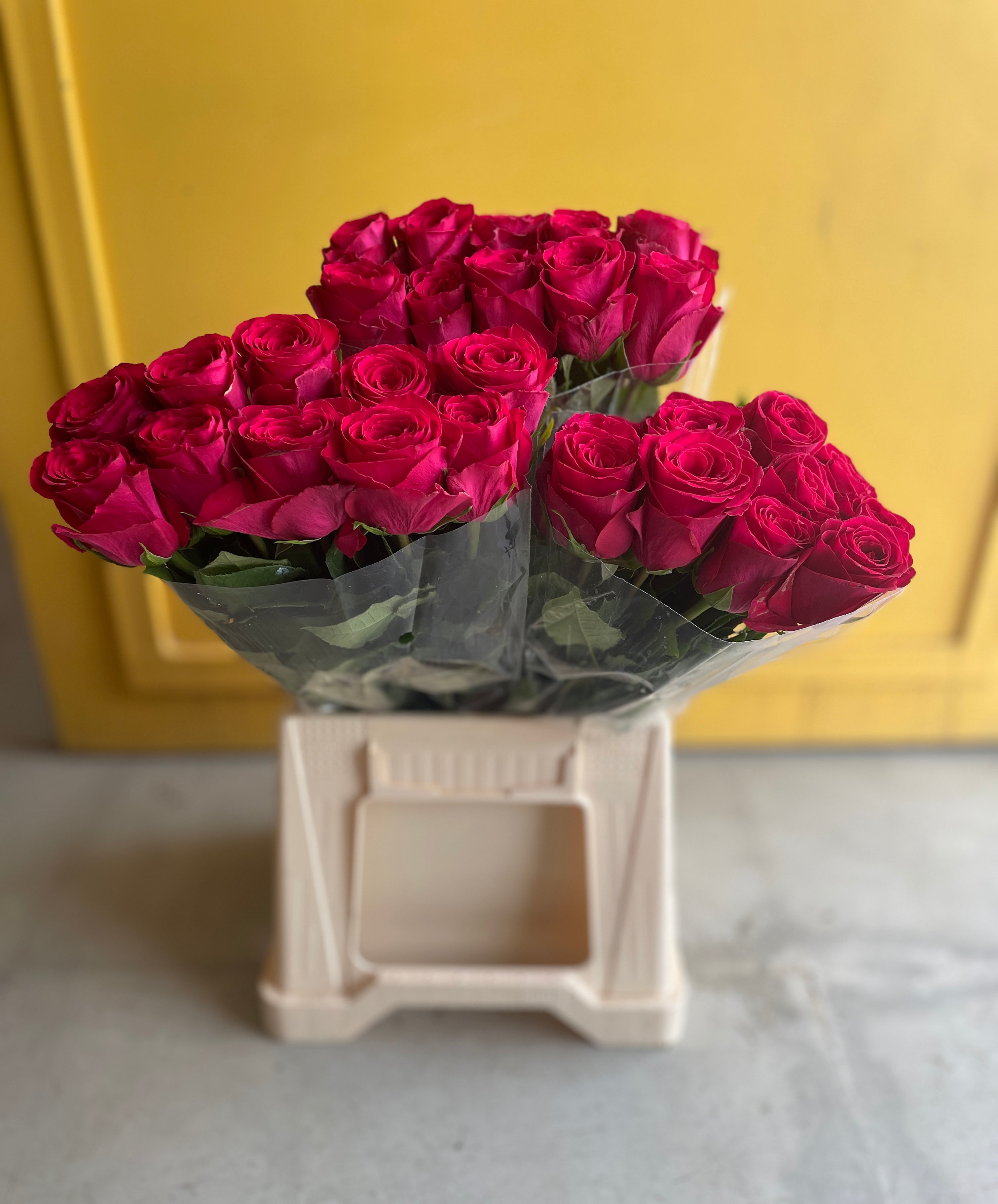 Rose Madam Cerise روز