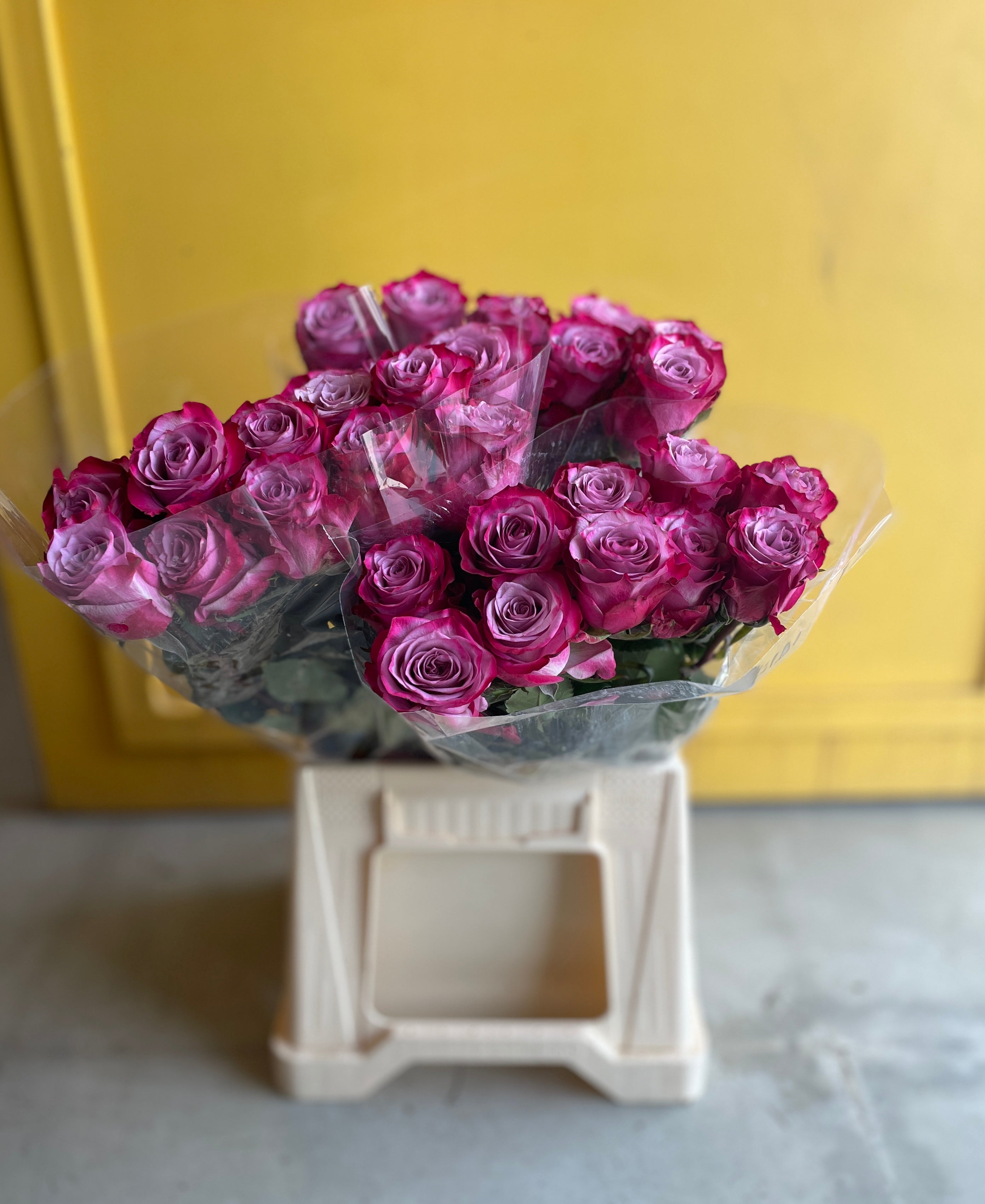 Rose Deep Purple  روز