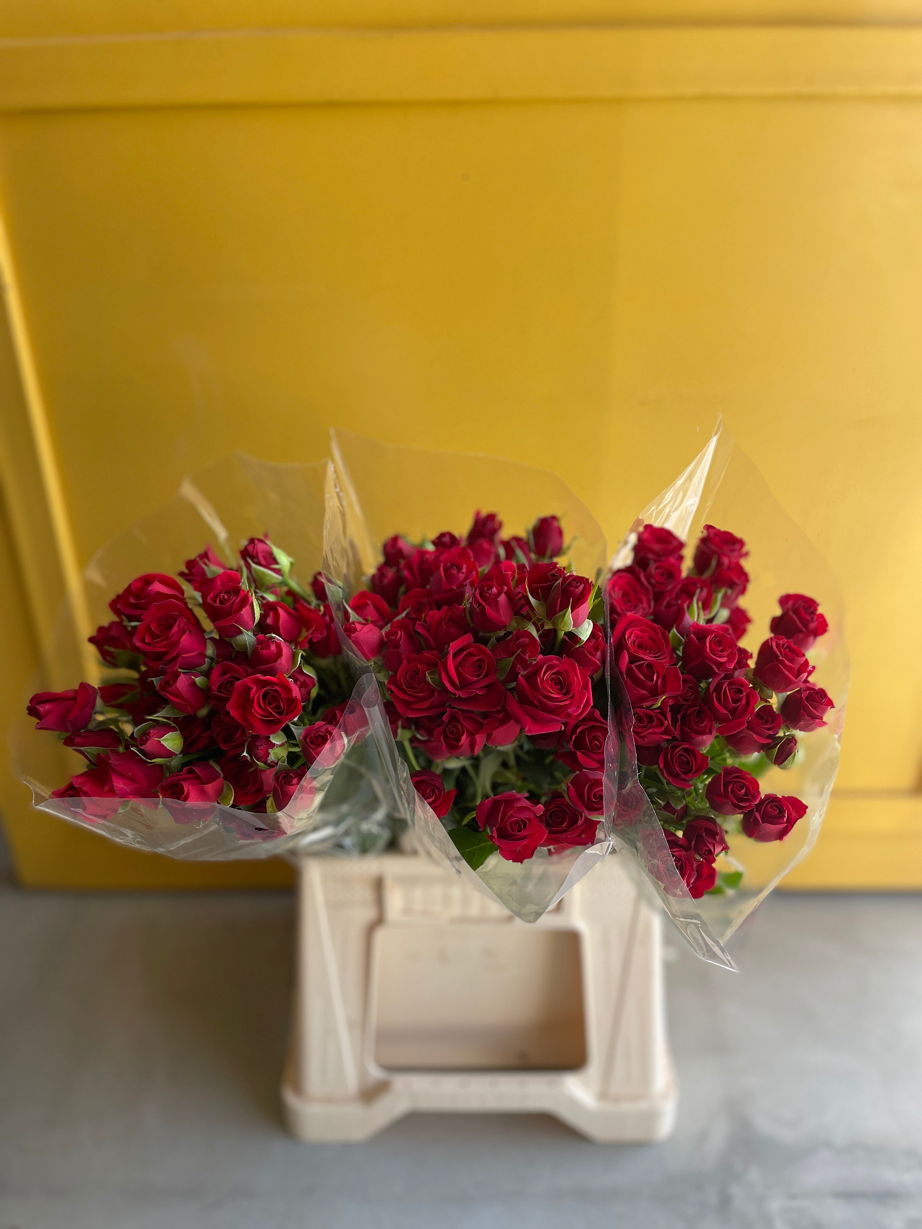 Spray Rose Mirabel