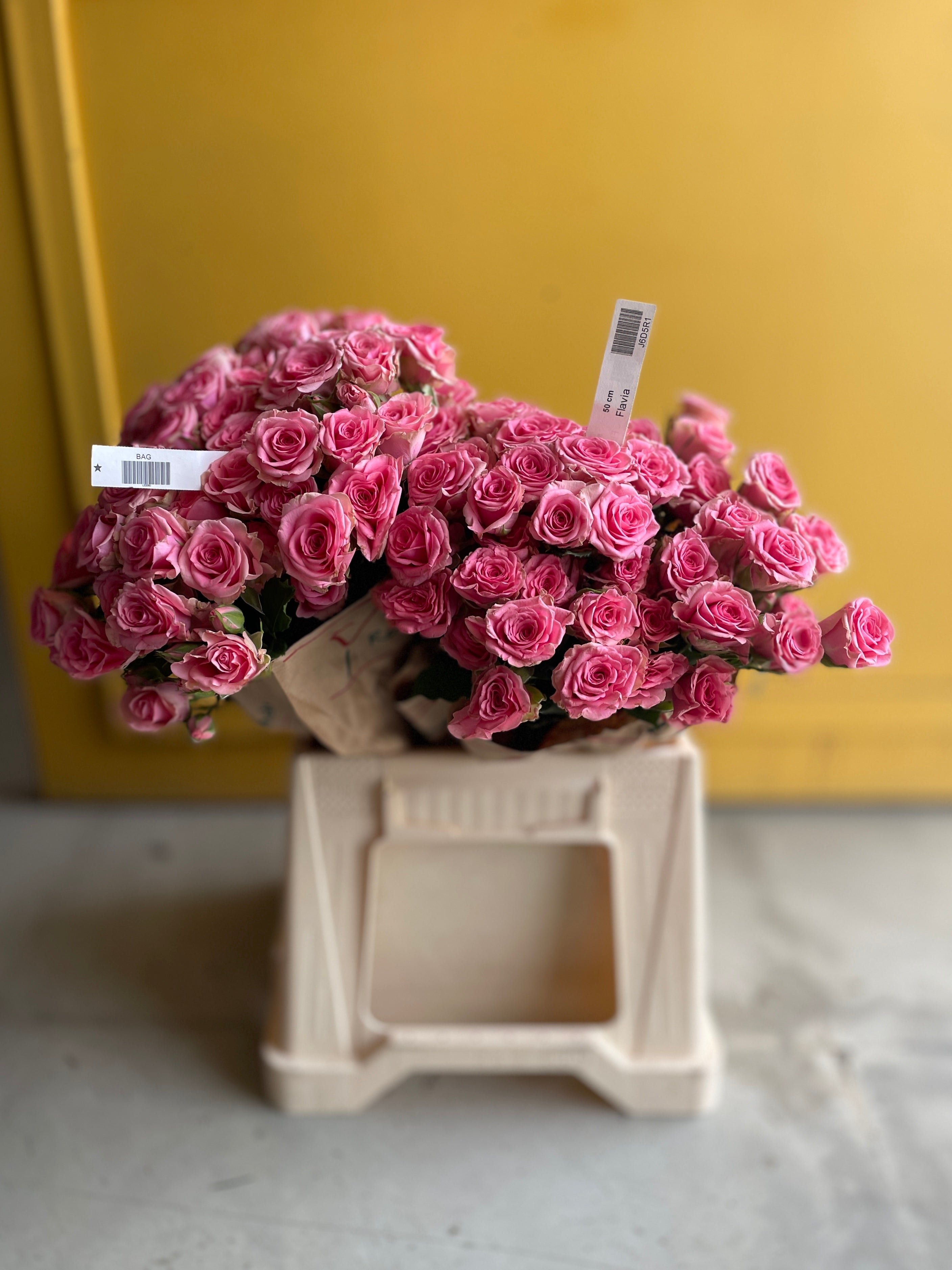 Spray Rose Flavia سبري روز