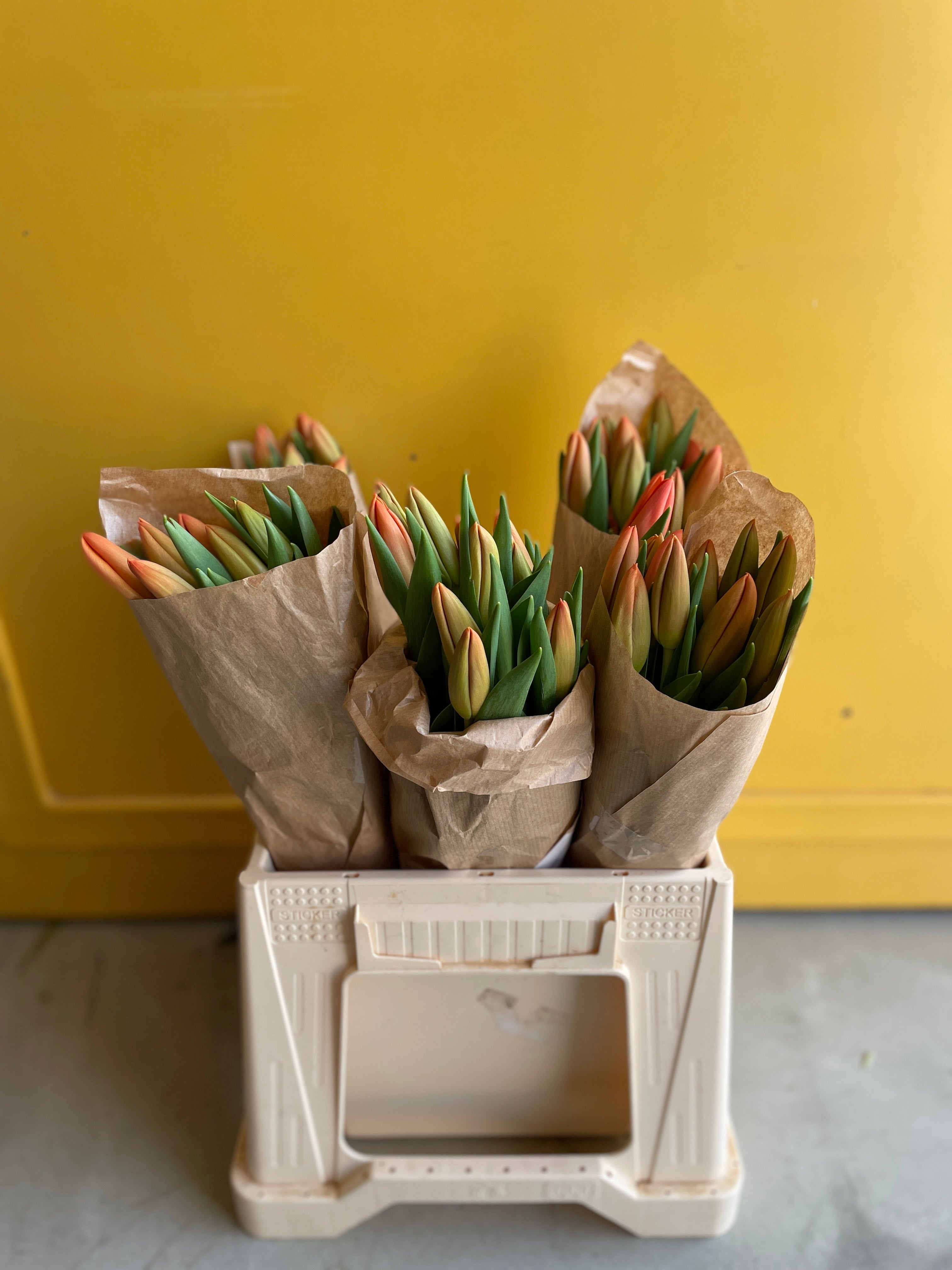 Tulip ORANGE JUICE