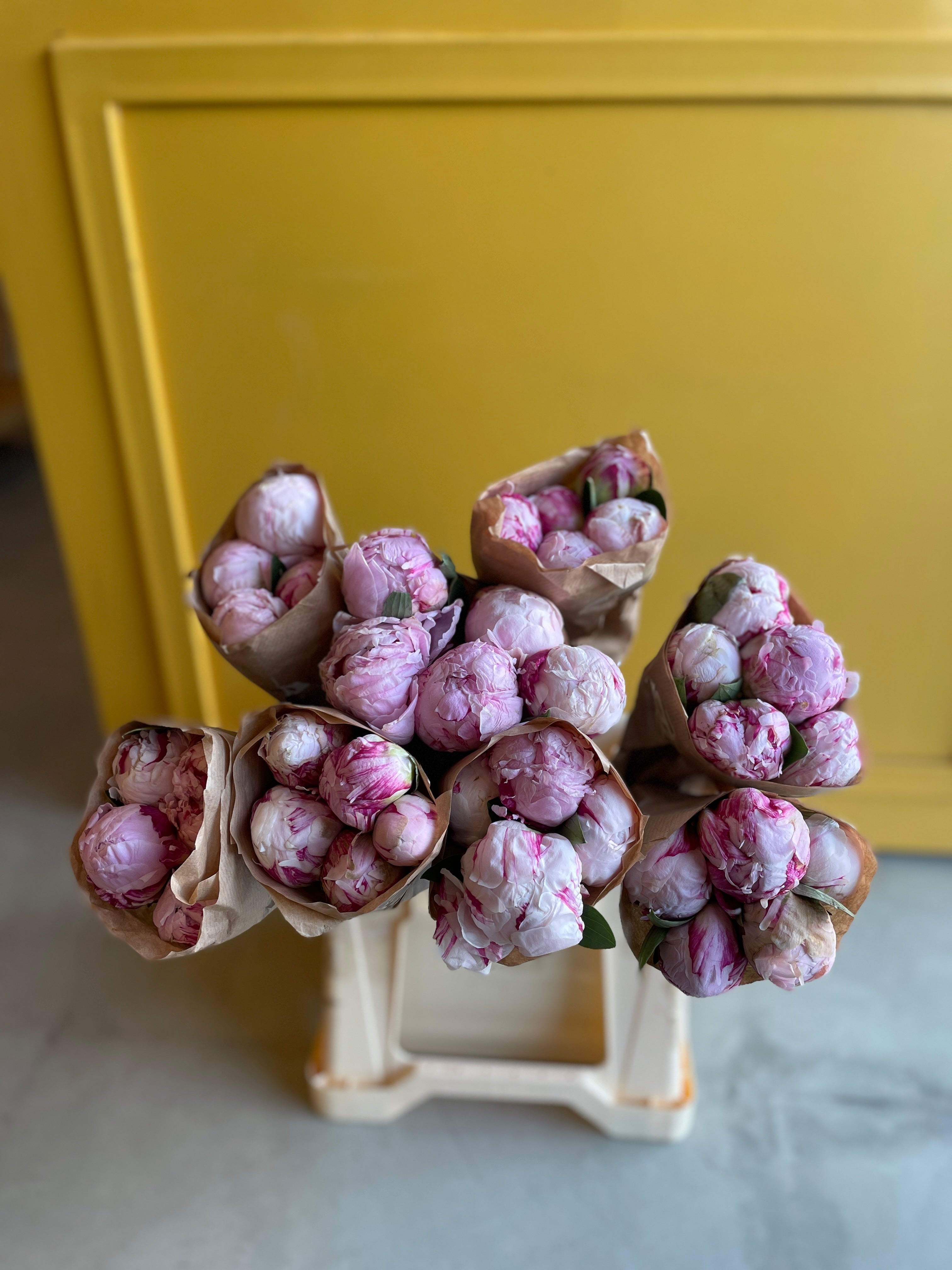 Peony Sarah