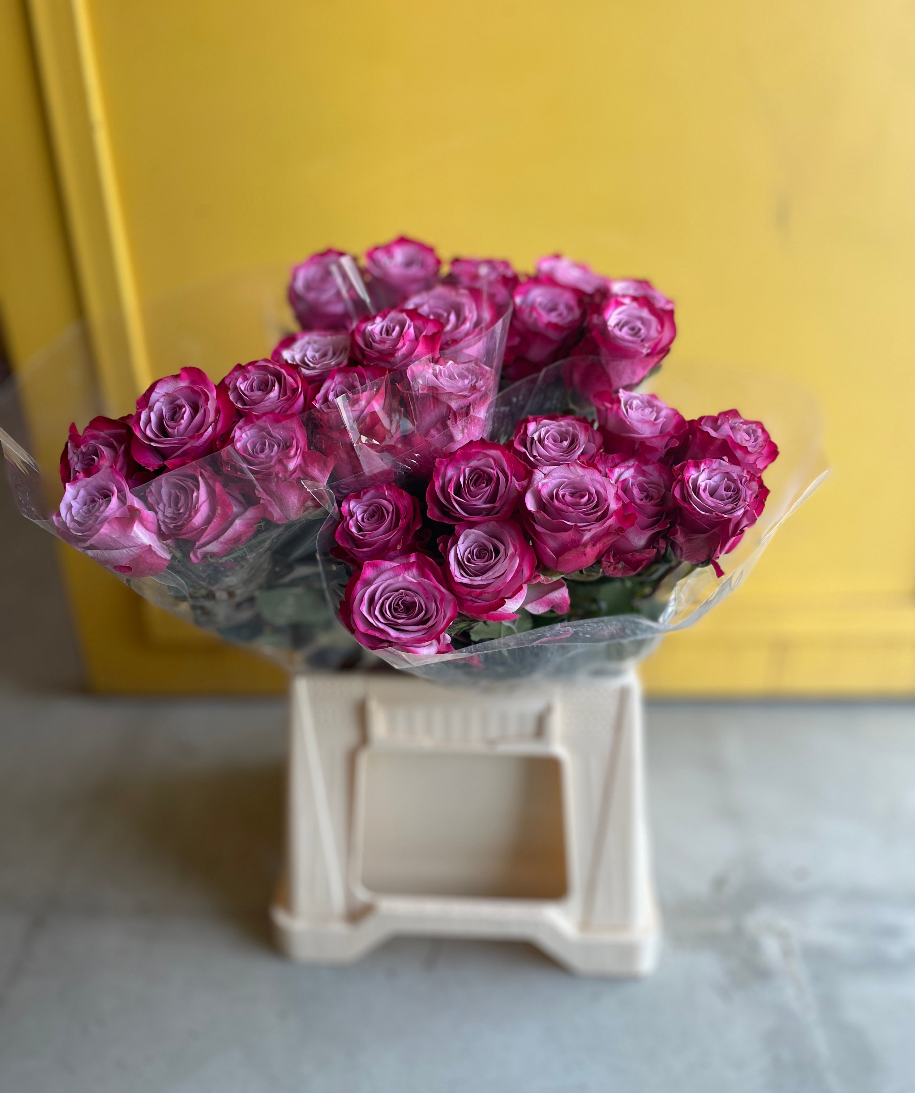 Rose Deep Purple  روز