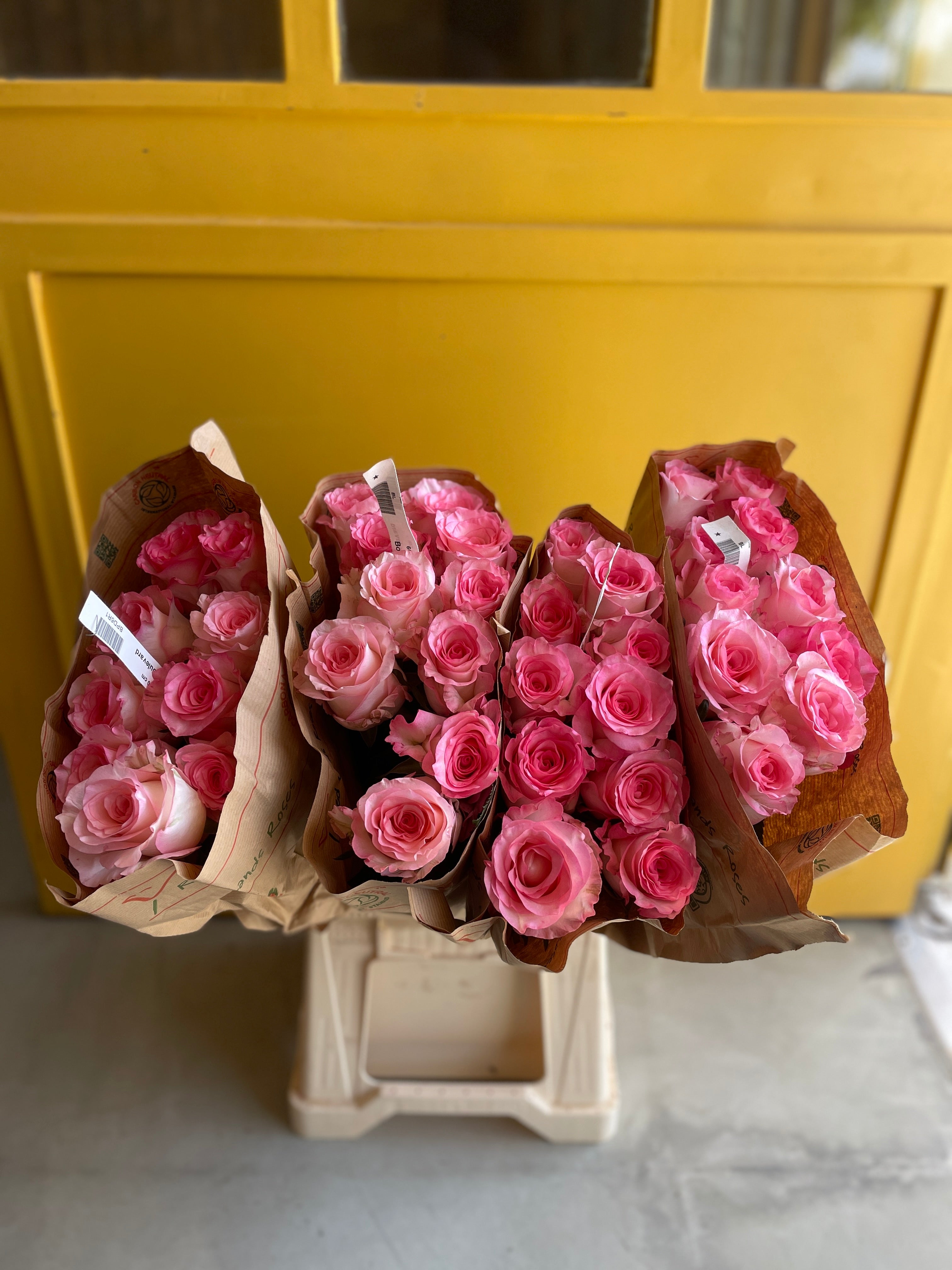 Rose Boulevard