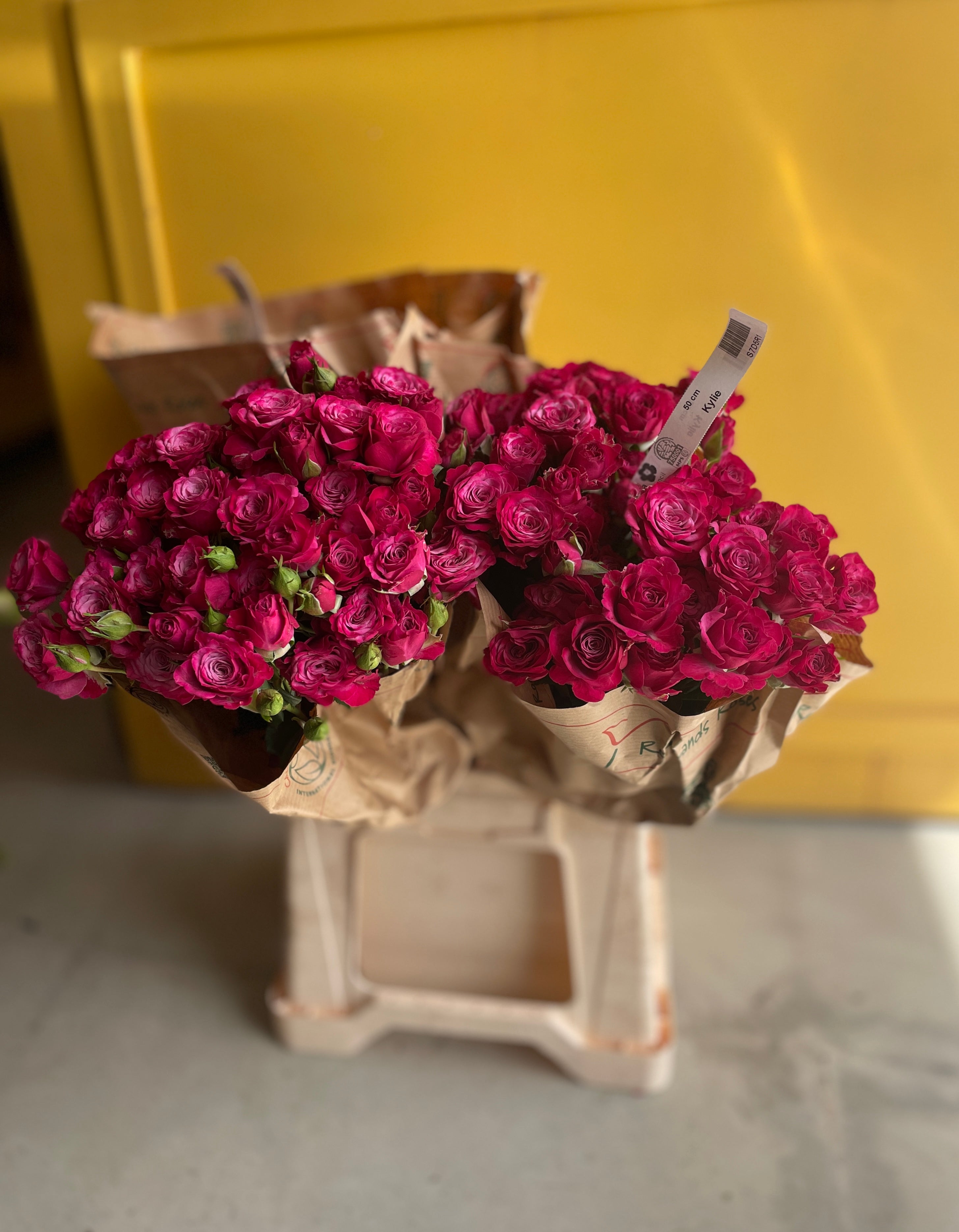 Rose Kylie روز