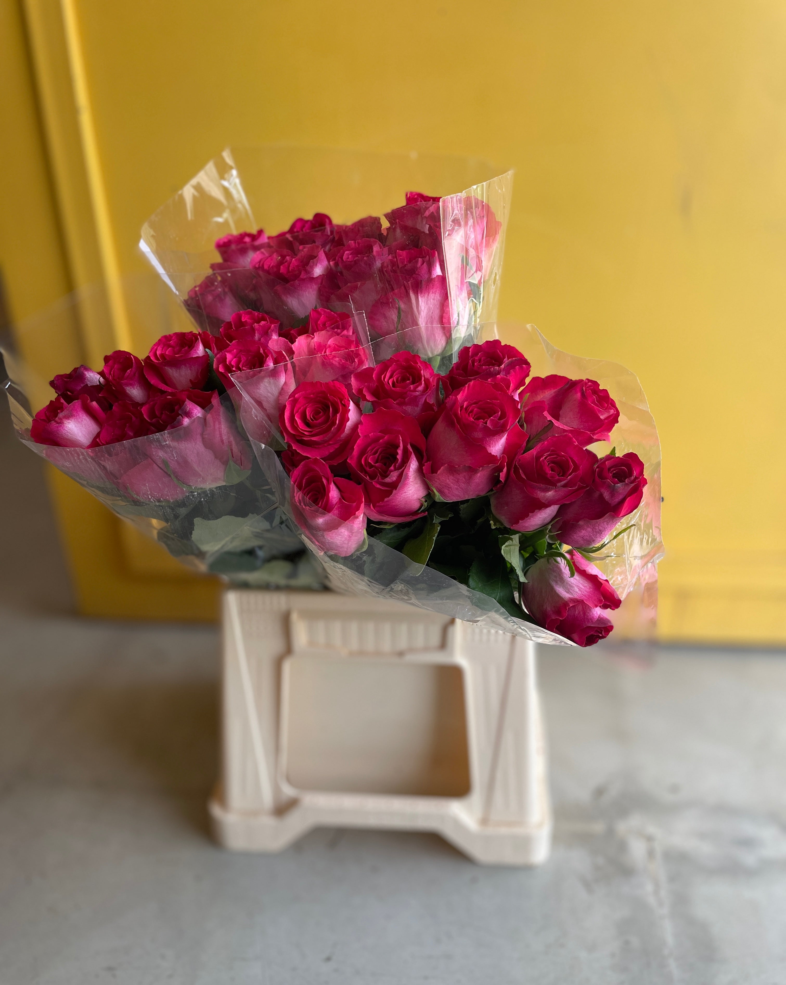 Rose Nicoletta روز