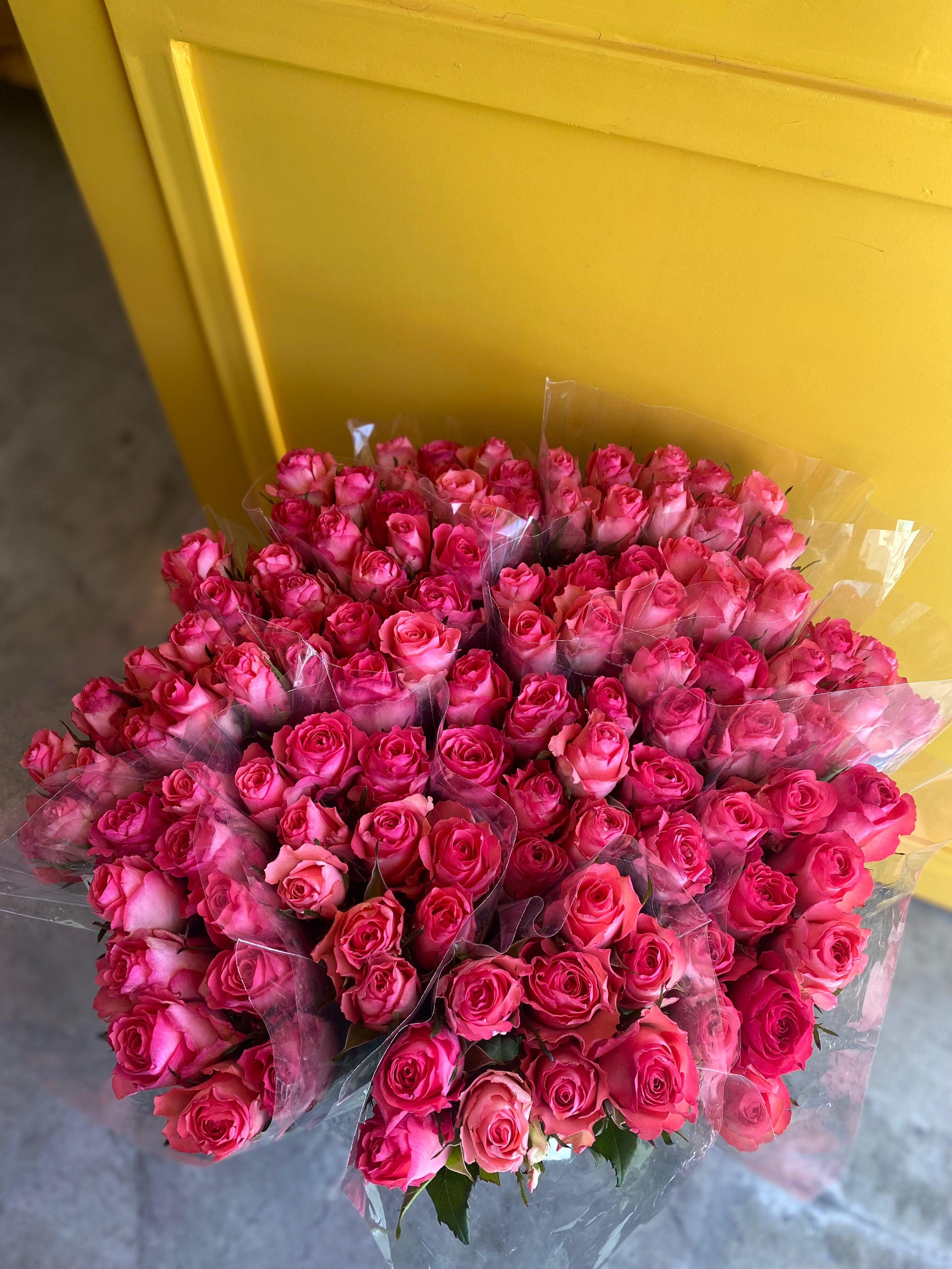 Rose Dekora
