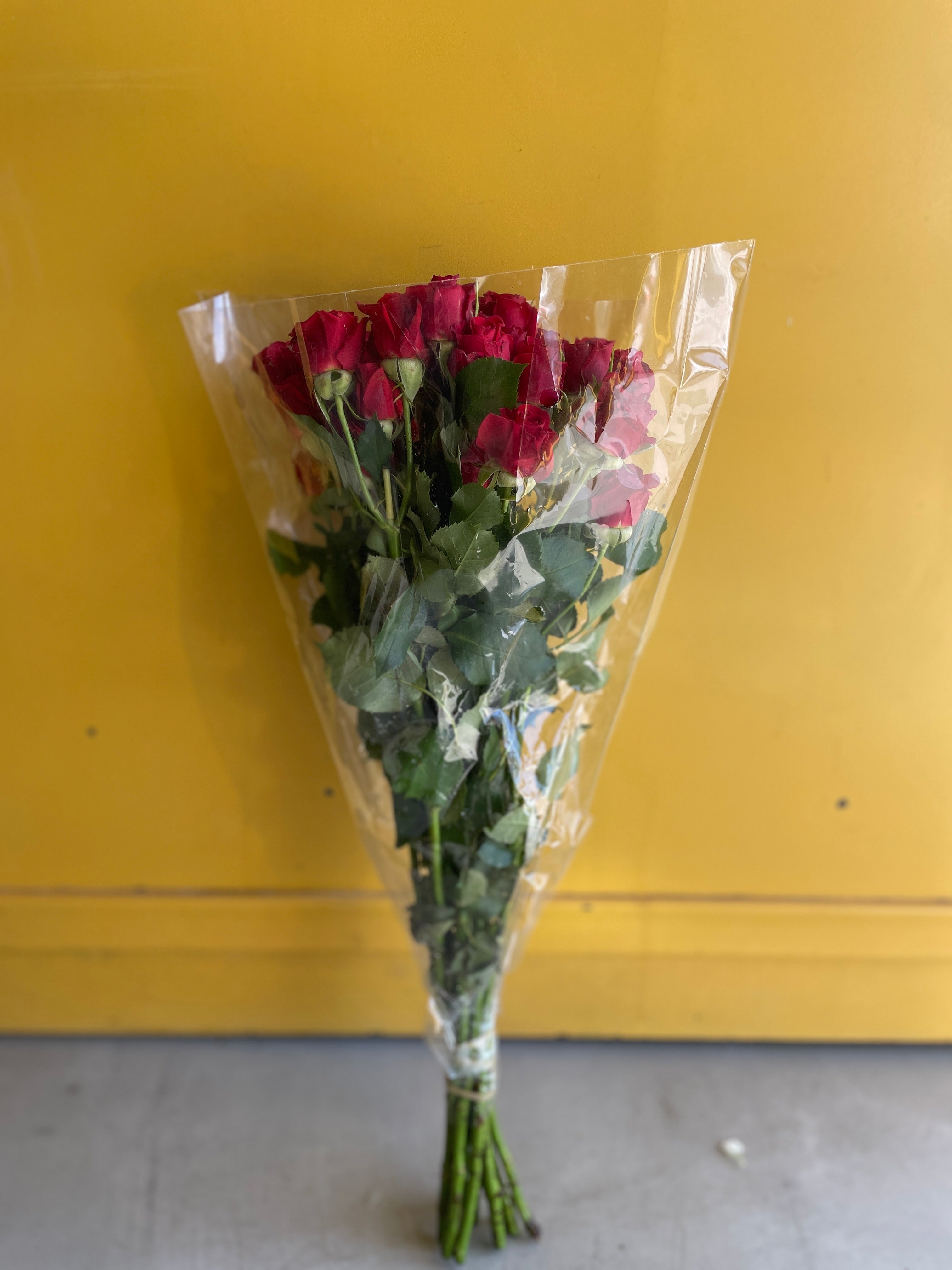 Spray Rose Mirabel