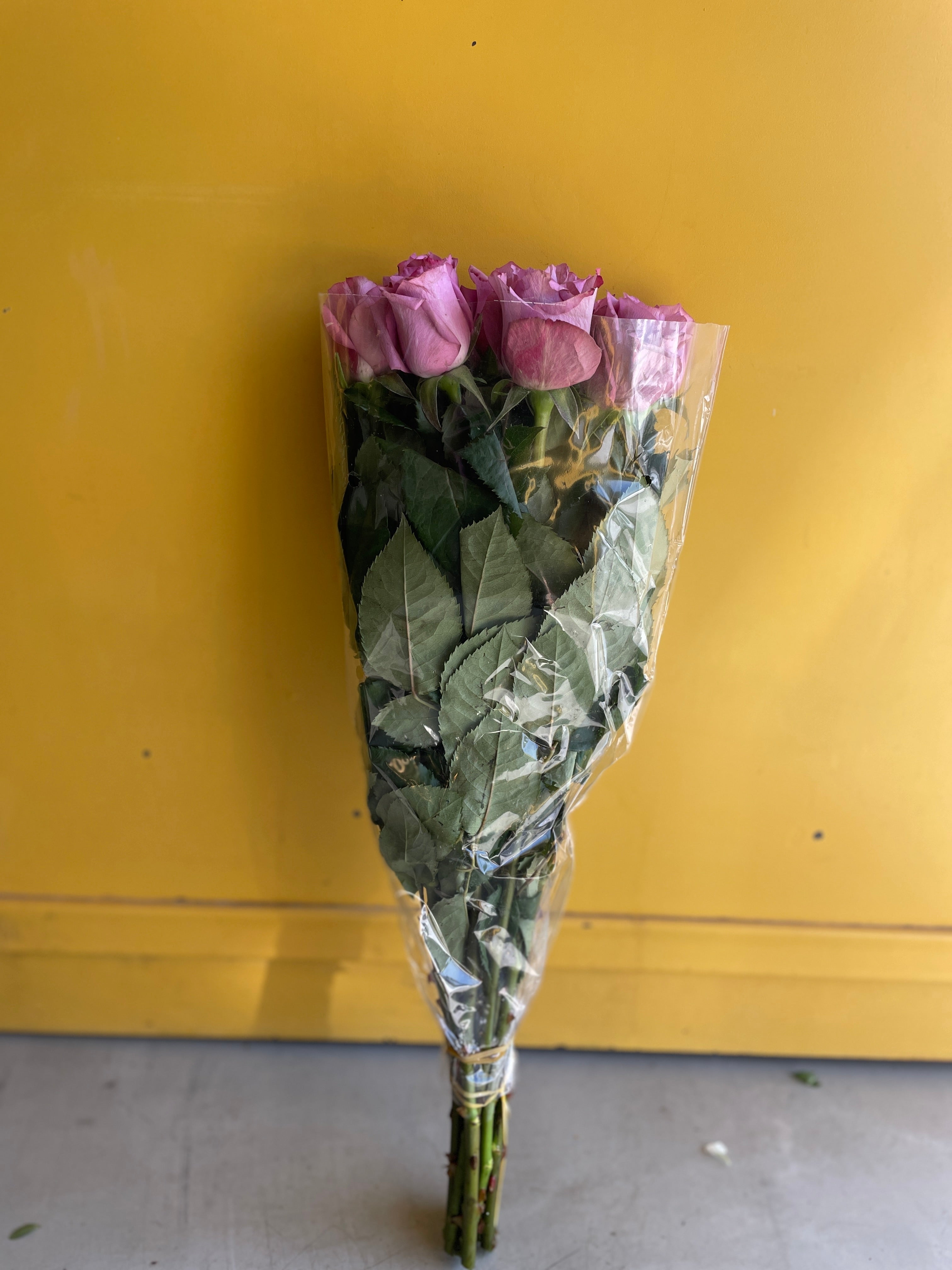 Rose New Orleans روز