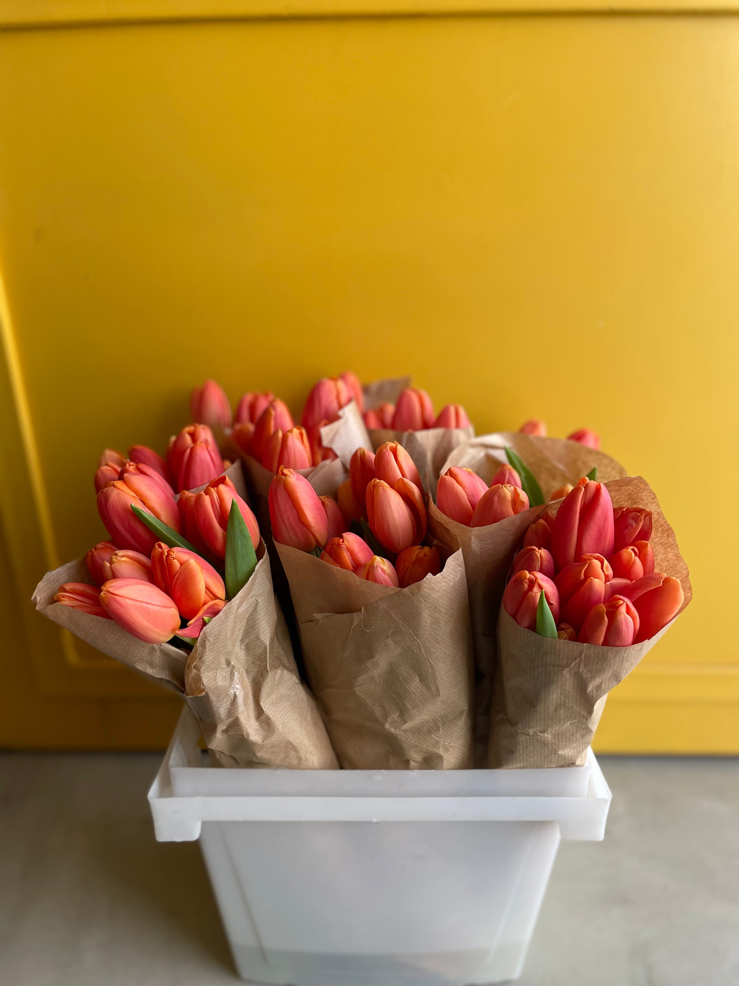 Tulip Orange Juice توليب