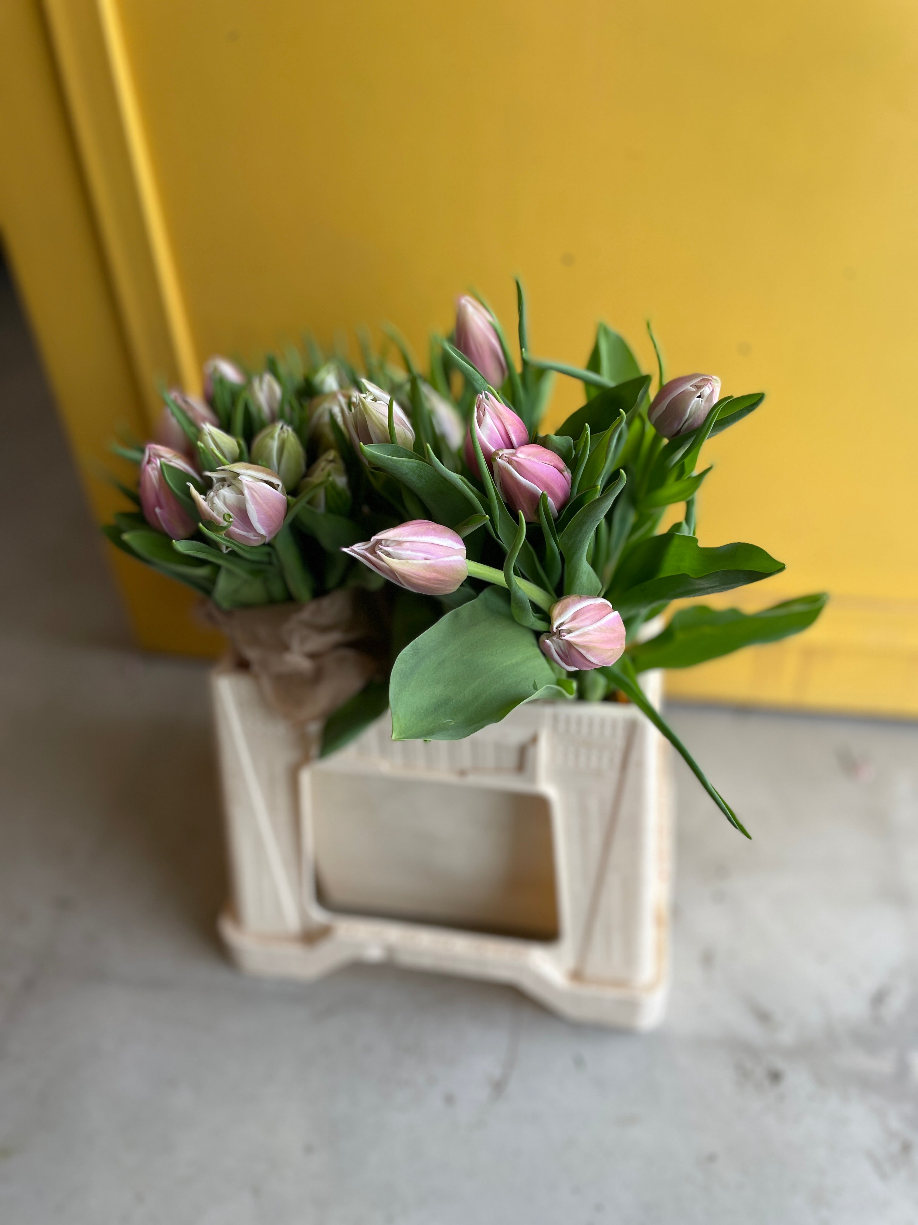 Tulip Mix Pink Tulip
