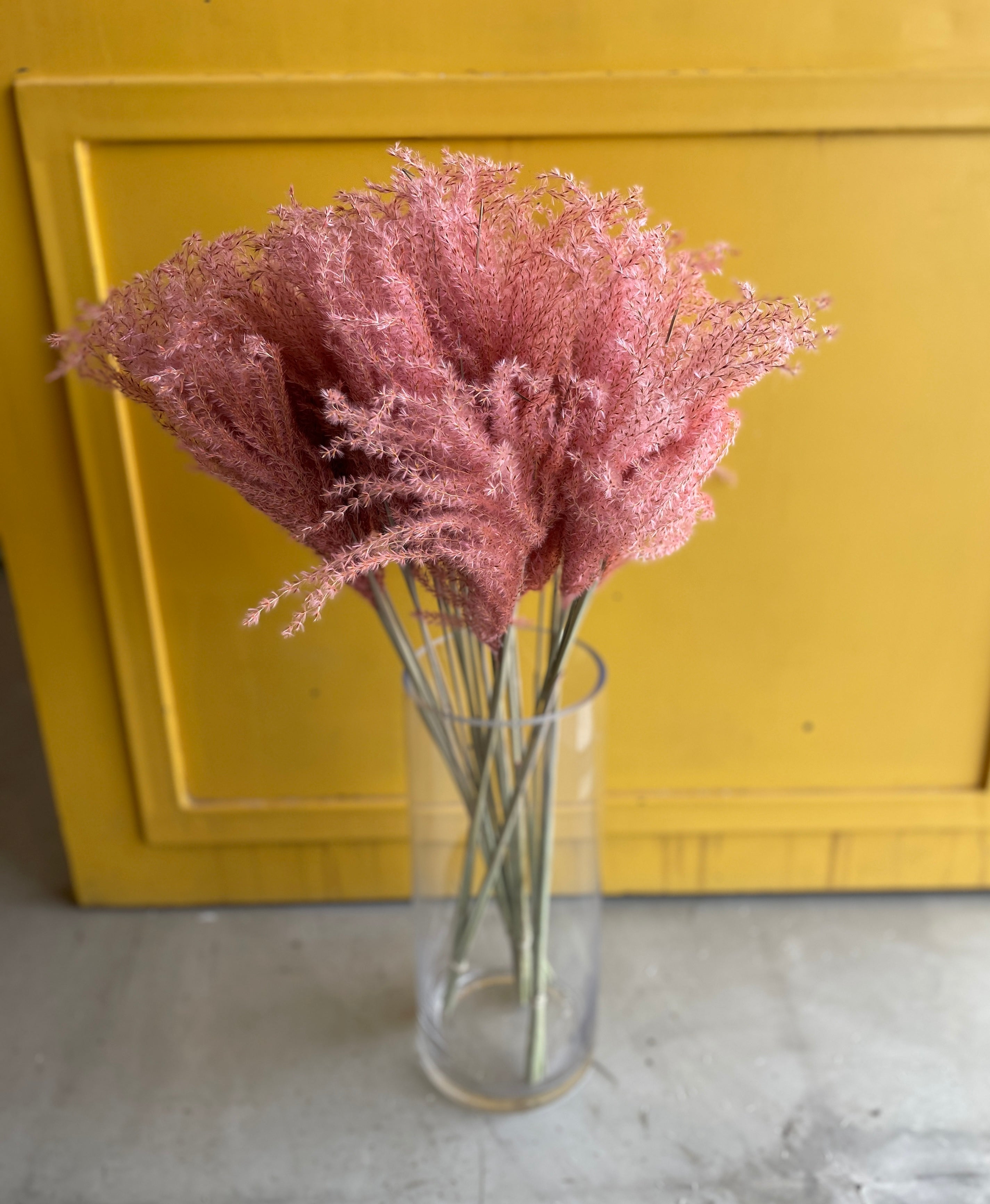 Stipa Feather Pink Dryer