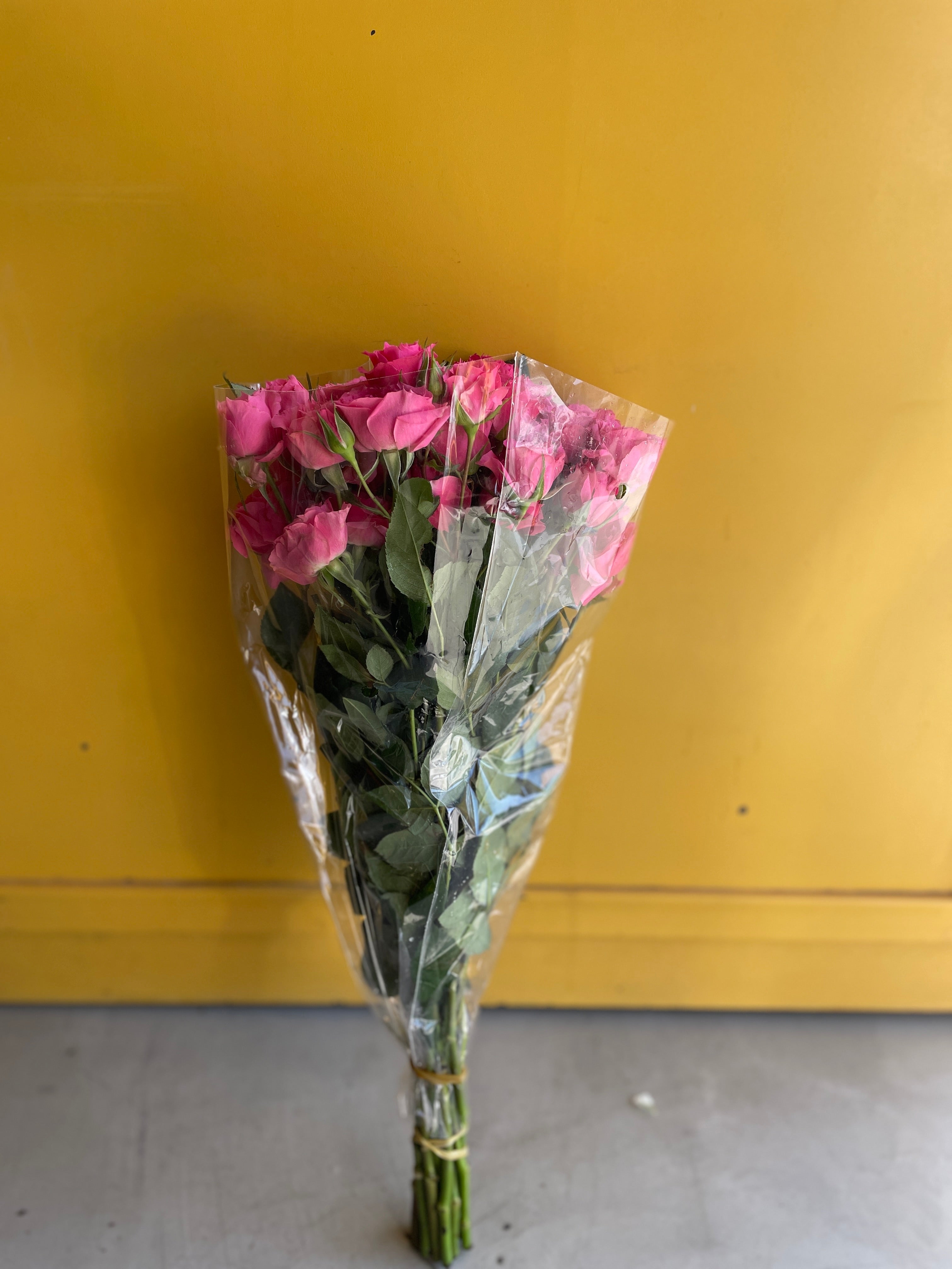 Spray Rose Pink Dimension سبري روز