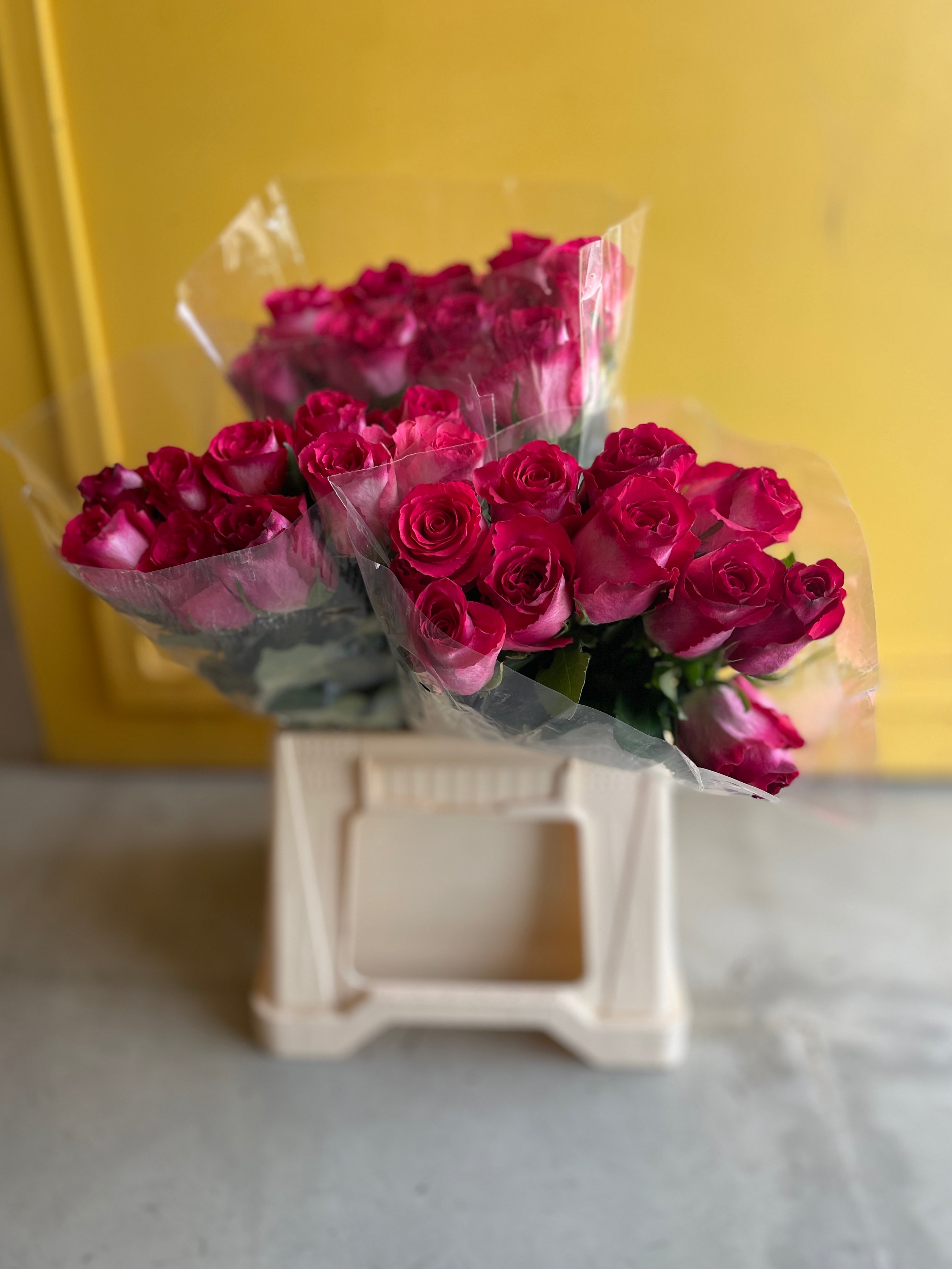 Rose Nicoletta روز