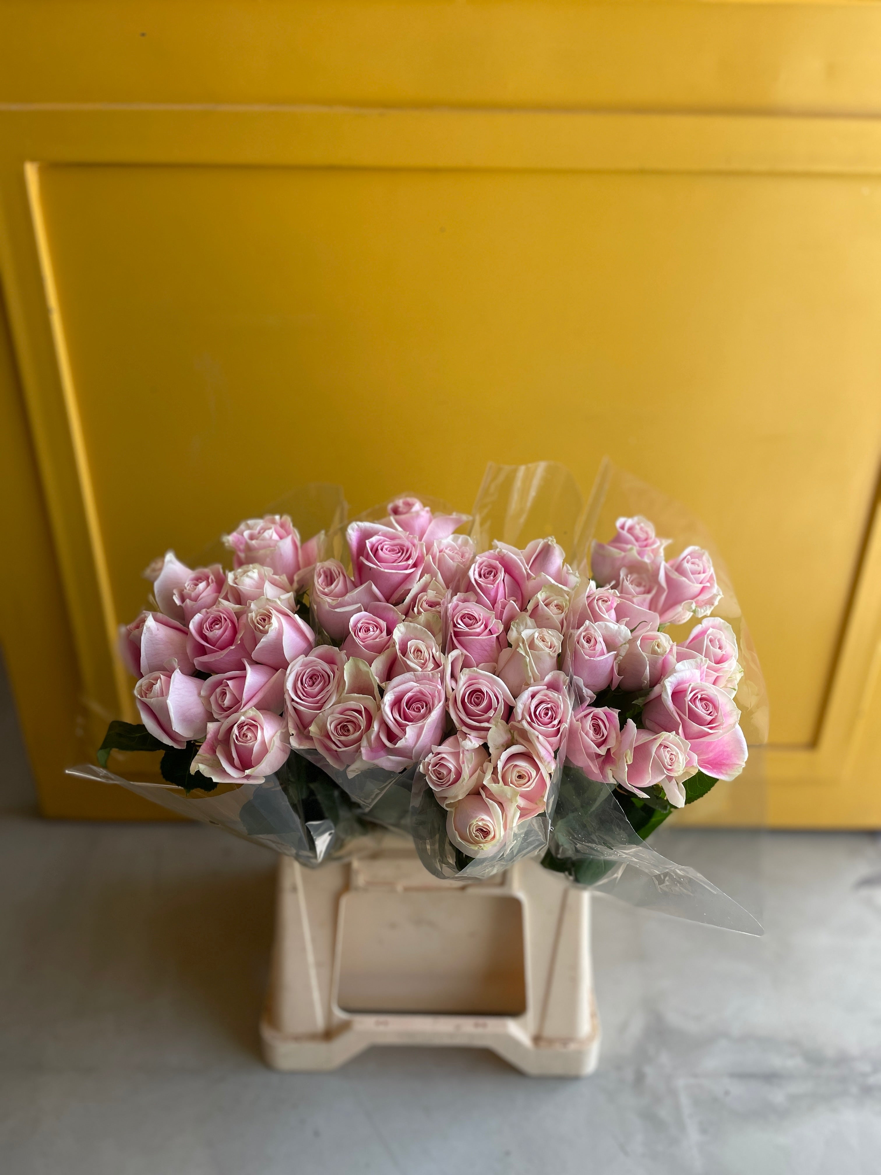 Rose Rosita Vendela روز