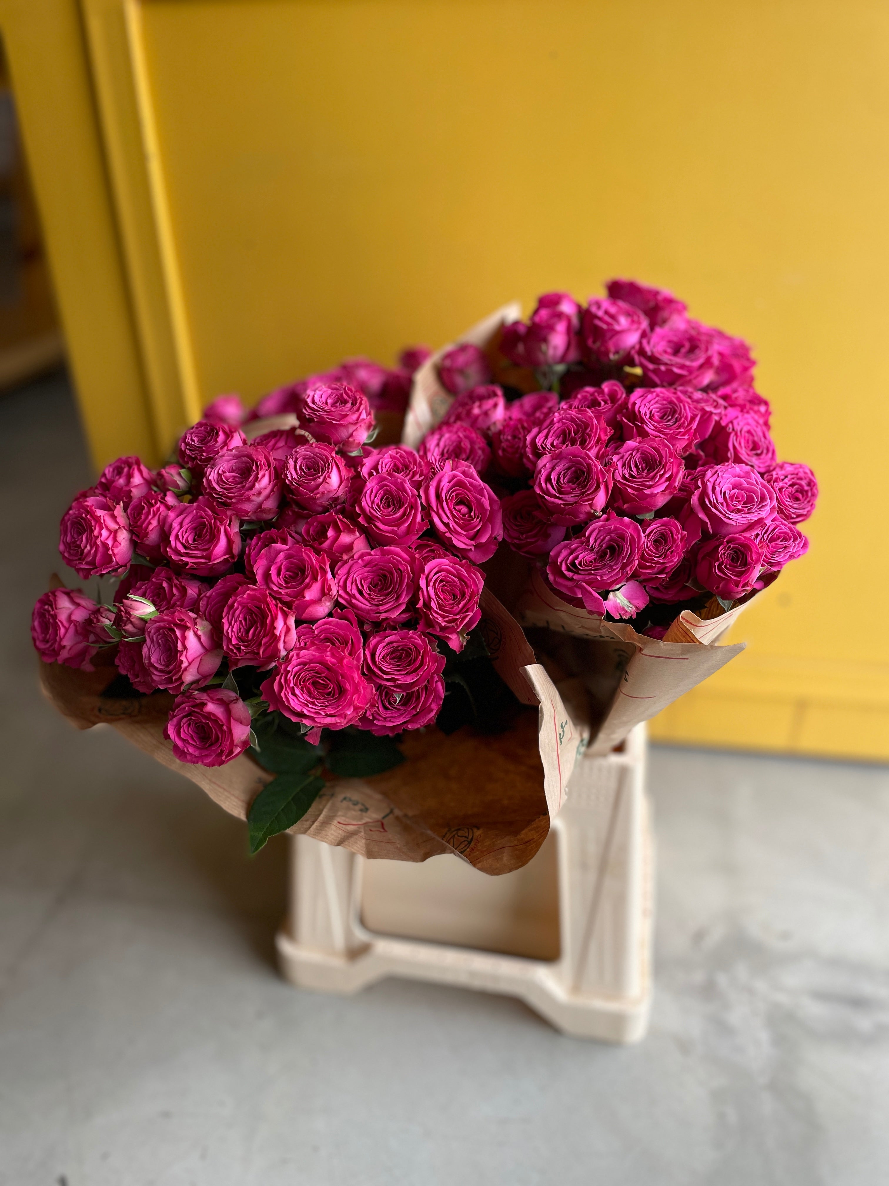 Spray Rose Classic Sensation