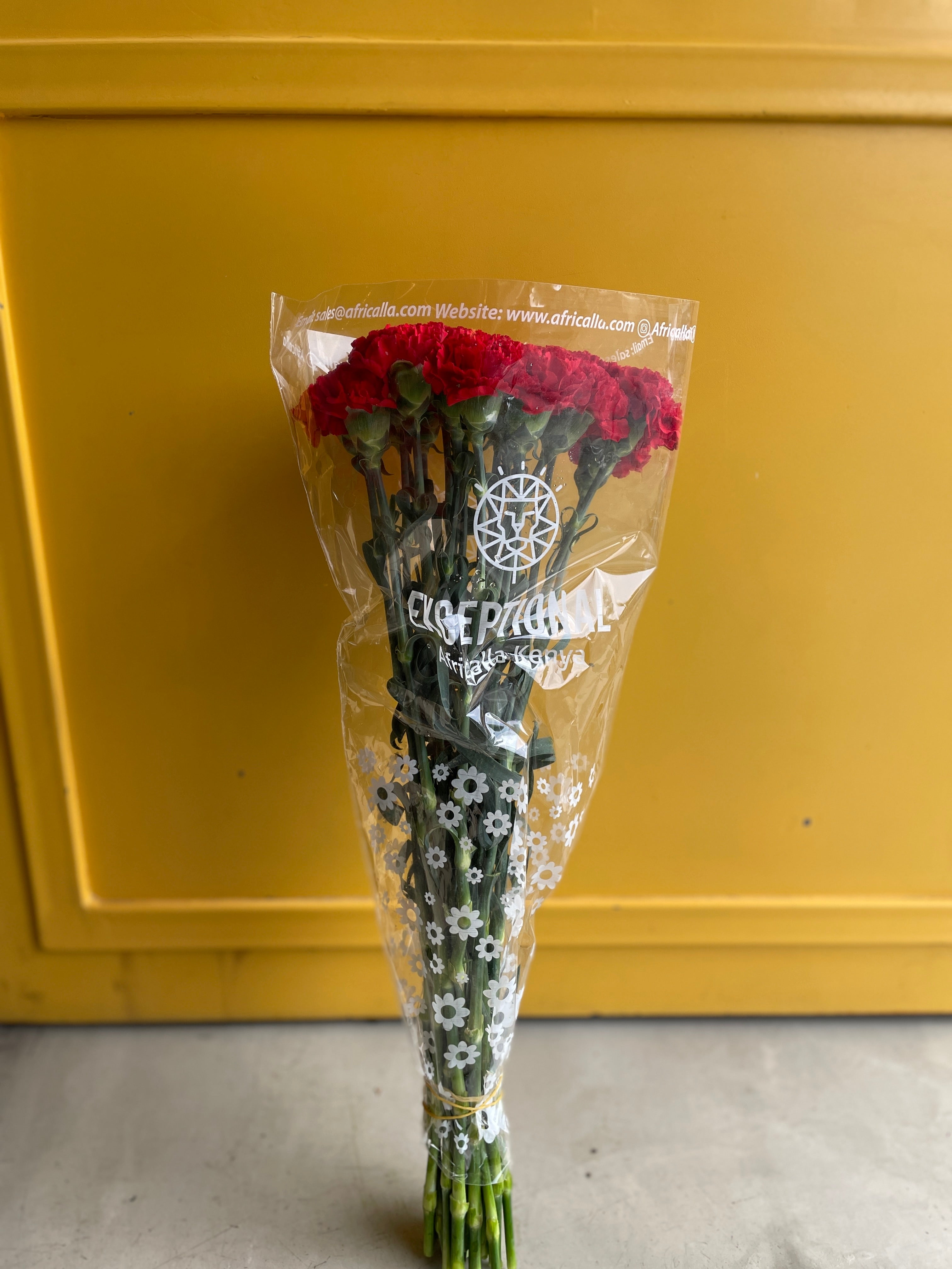 Carnation Red KE كارنيشن