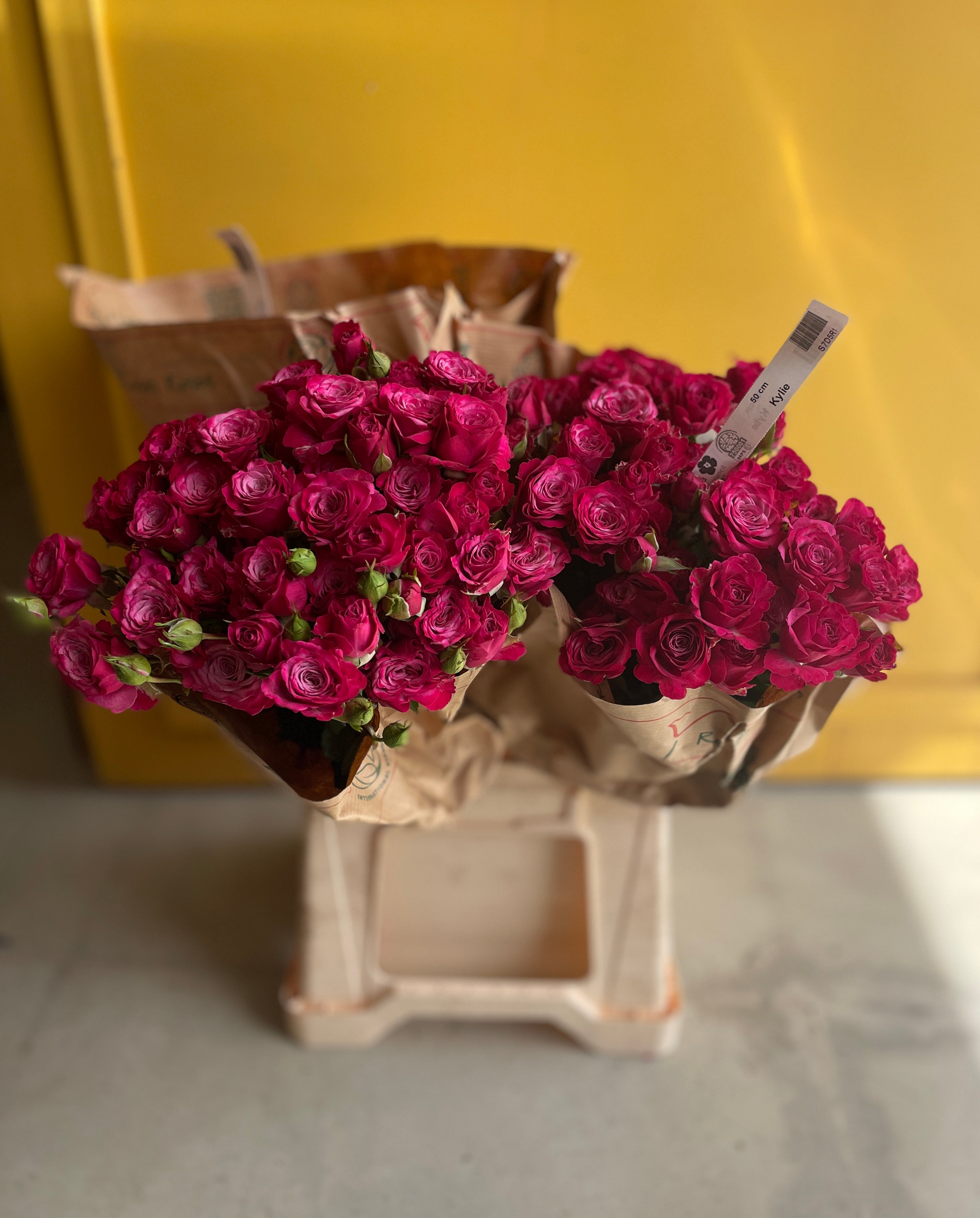 Rose Kylie روز
