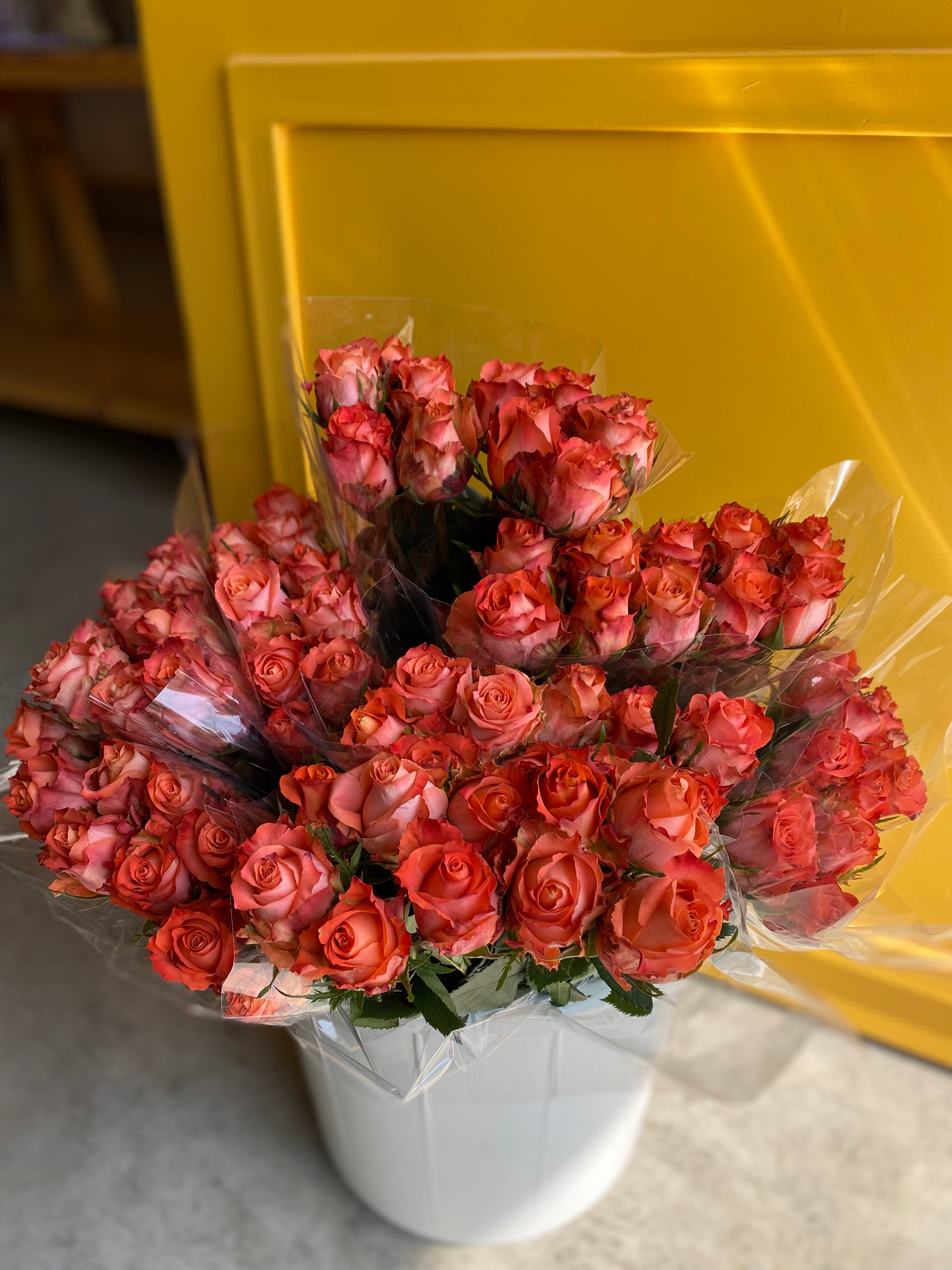 Rose Julischka