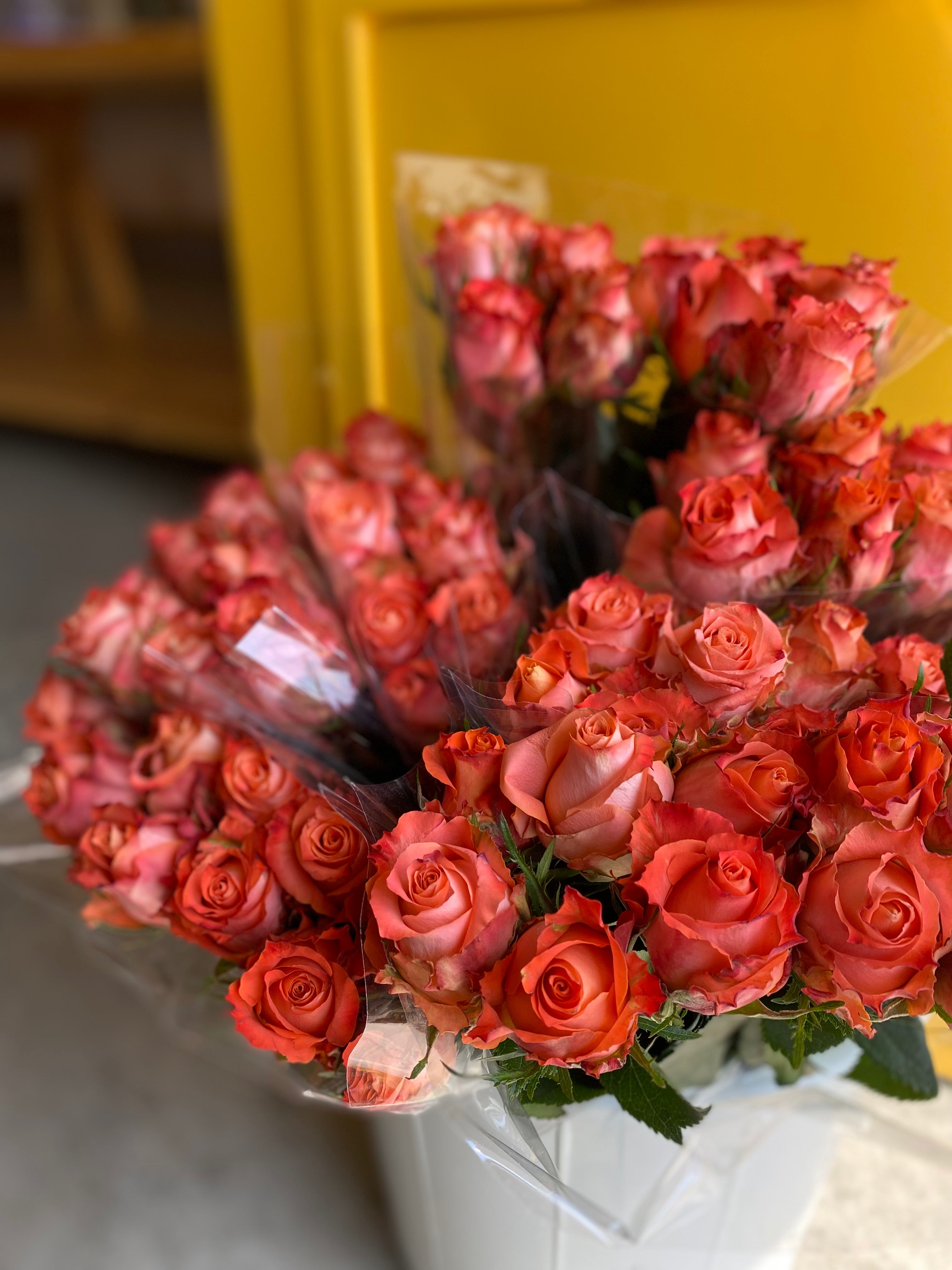 Rose Julischka