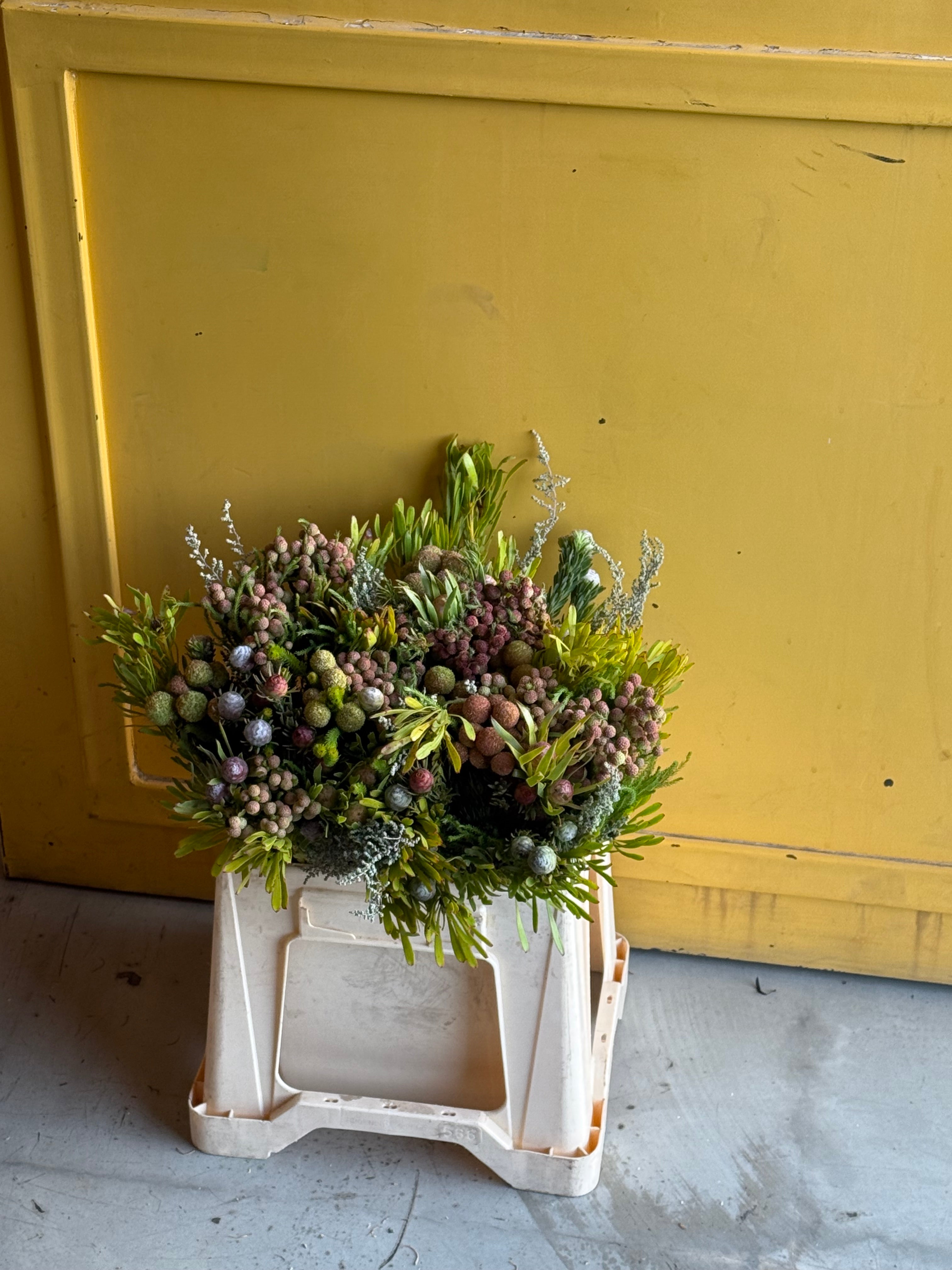 Cape Mix Natural بوكيه