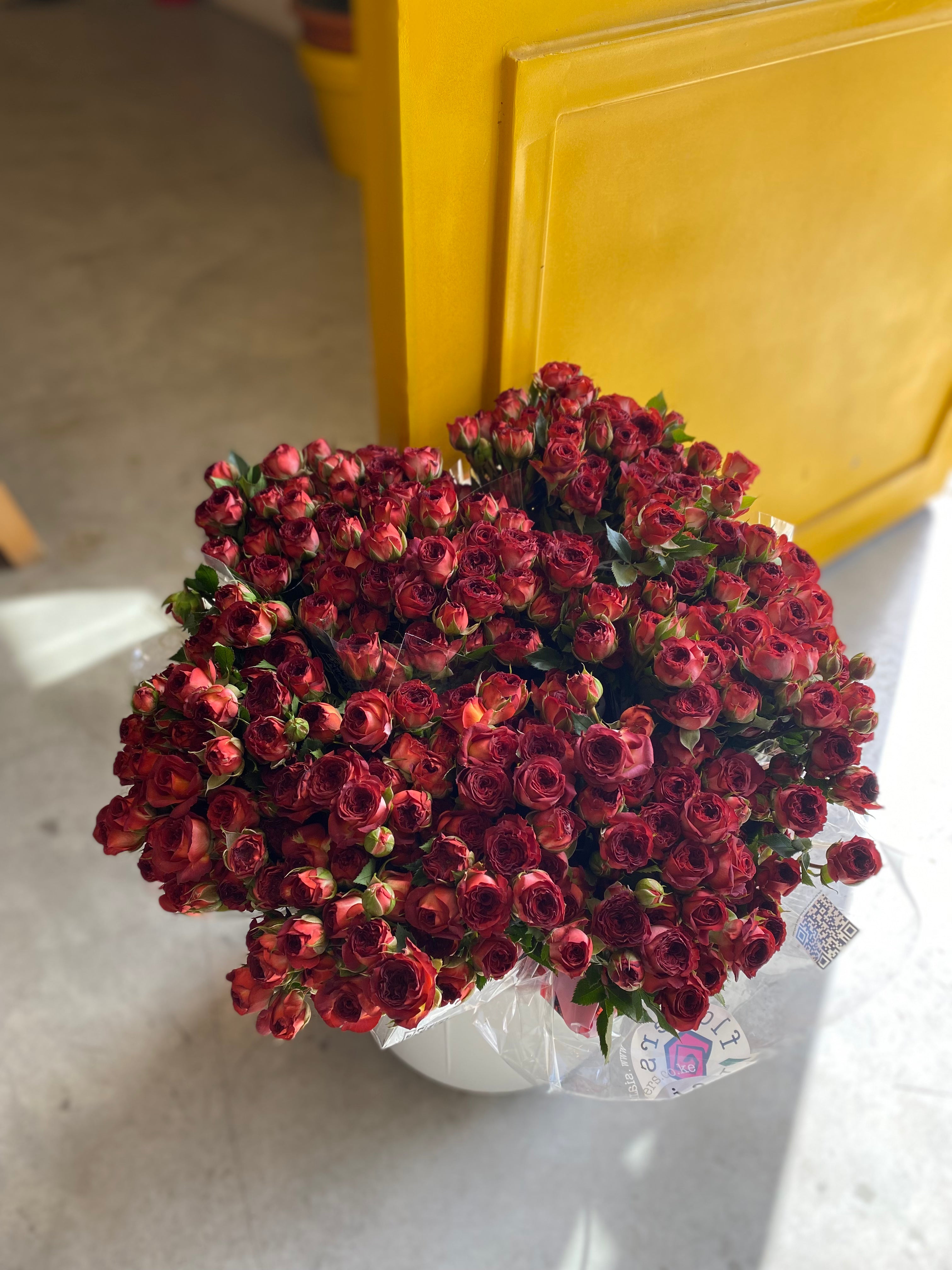 Spray Rose Chocolate Bubbles سبري روز