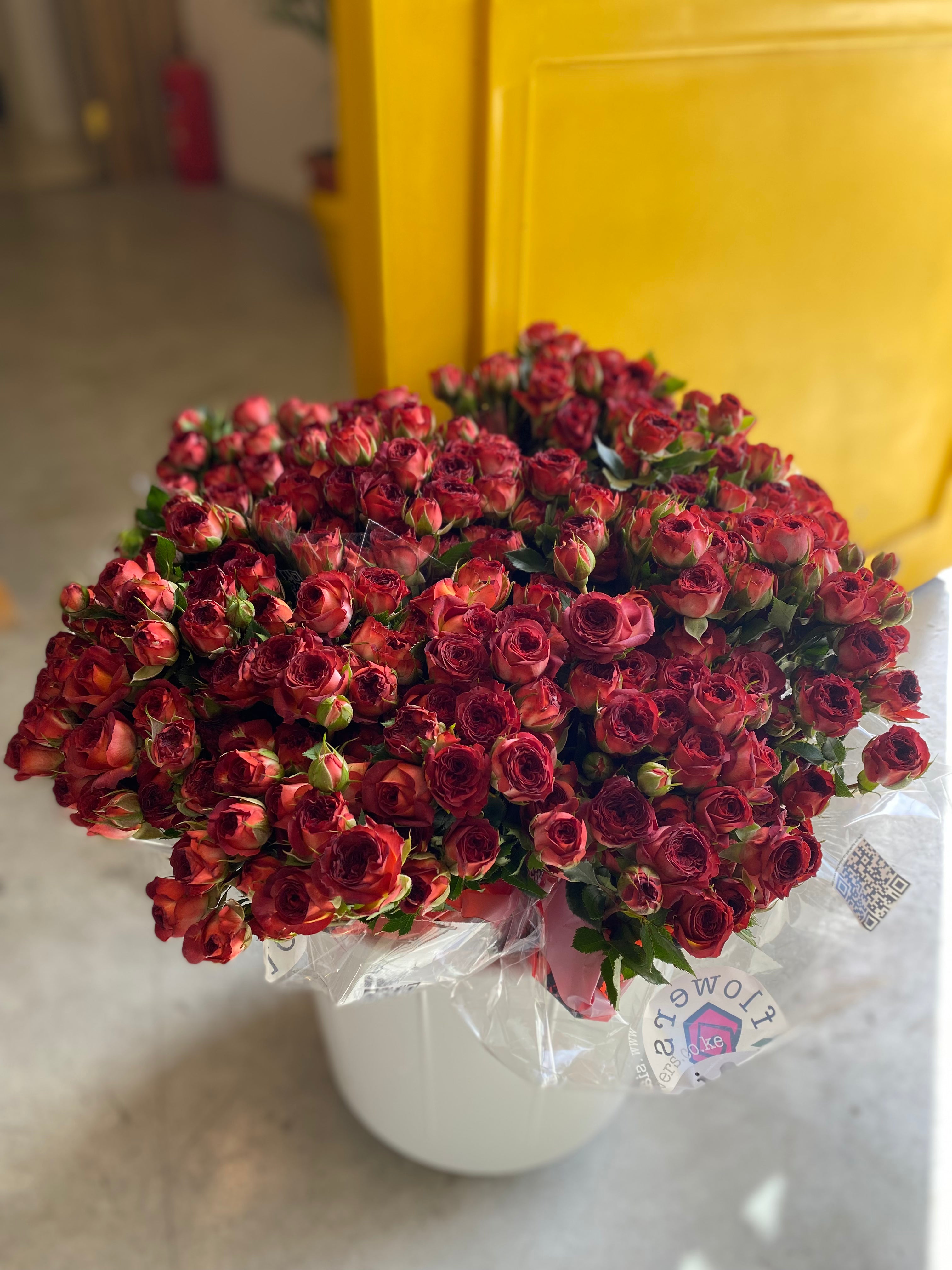 Spray Rose Chocolate Bubbles سبري روز