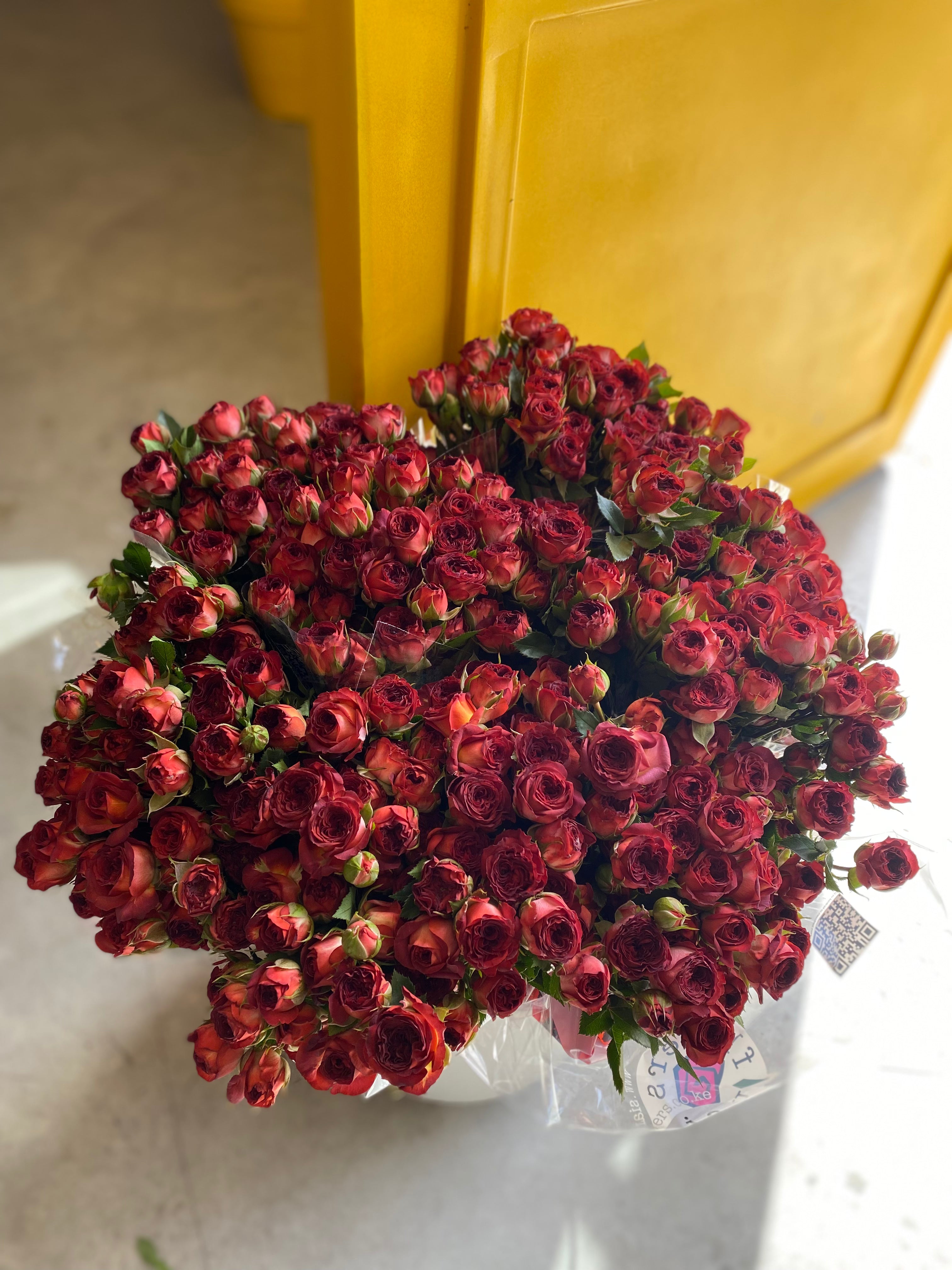 Spray Rose Chocolate Bubbles سبري روز