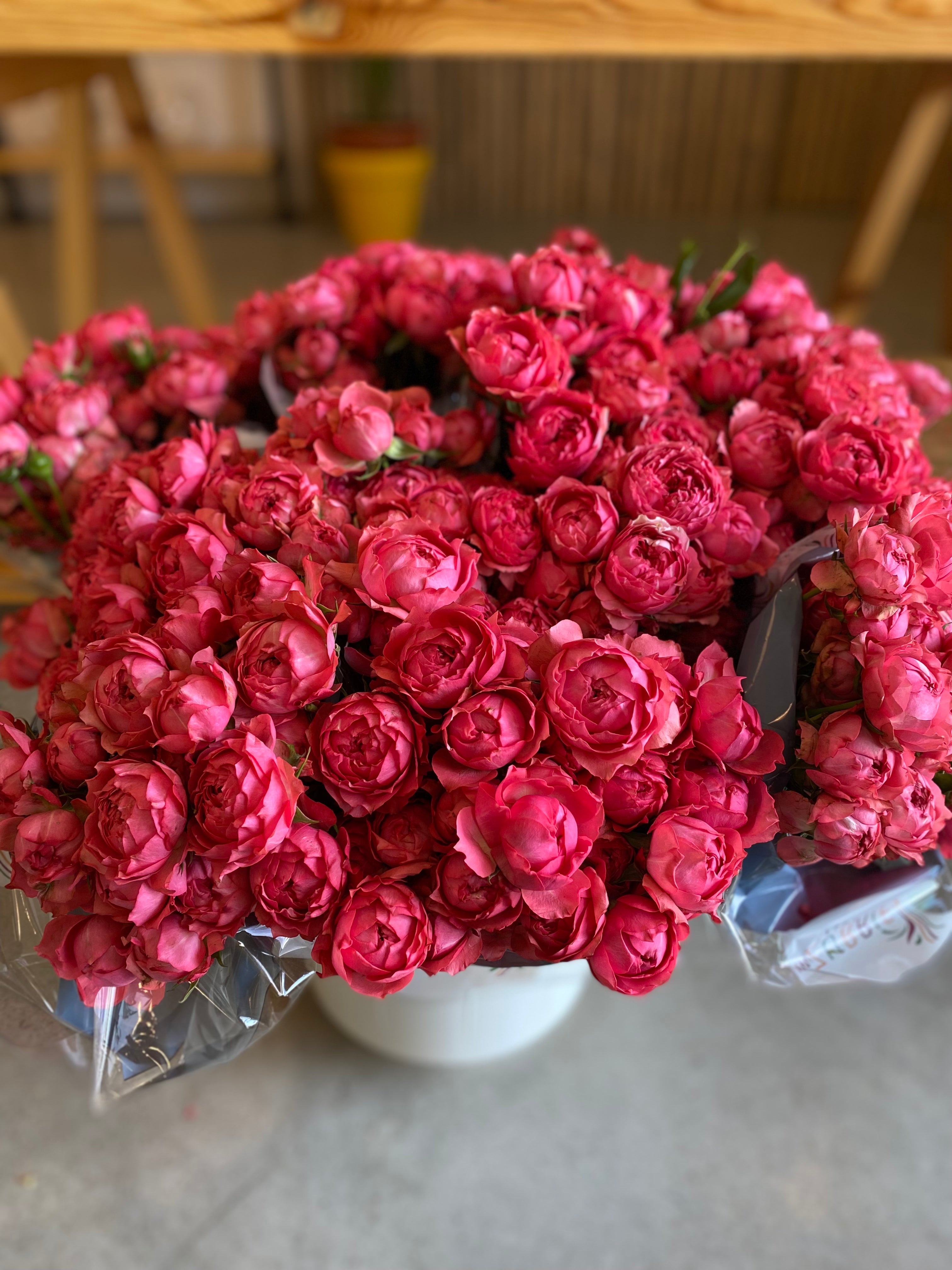 Julieta Raspberry Garden Spray Rose Julieta Raspberry – Bloom Inn