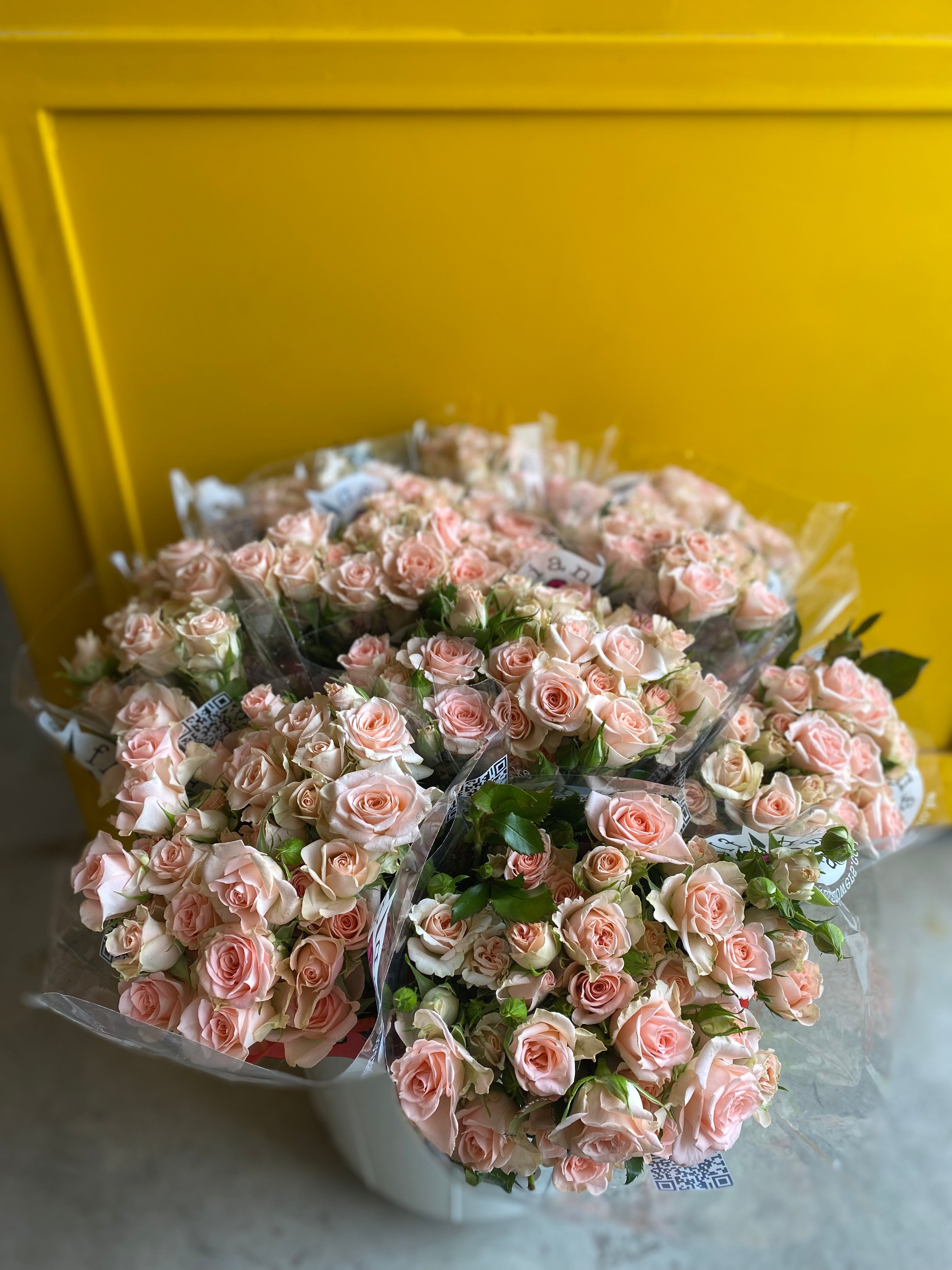 Spray Rose Sweet Sarah